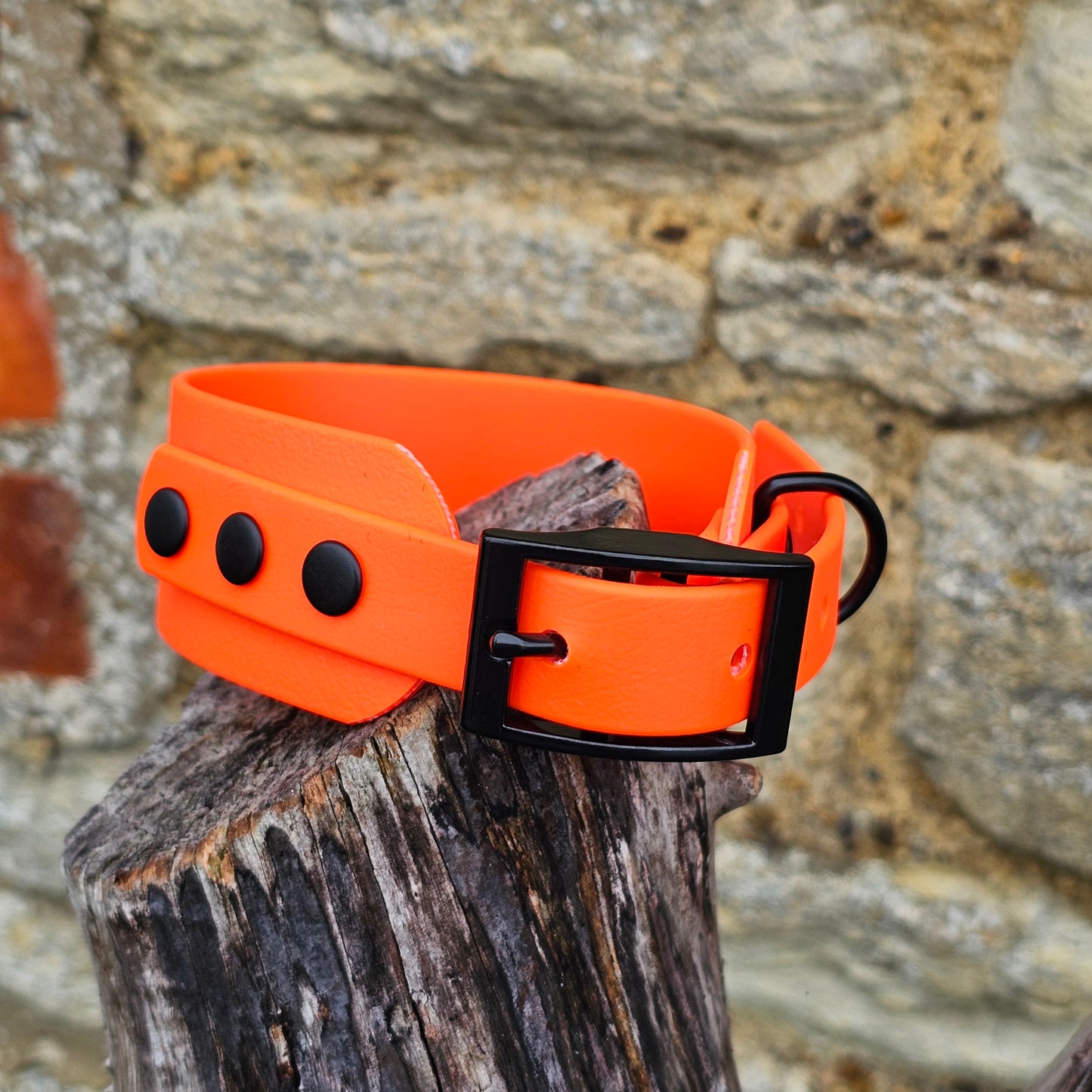Neon Orange - Waterproof BioThane® Sighthound Collar / wide-fit Dog Collar