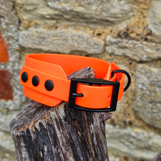 Neon Orange - Waterproof BioThane® Sighthound Collar / wide-fit Dog Collar