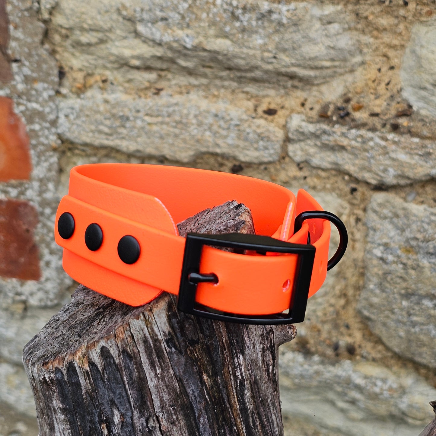 Neon Orange - Waterproof BioThane® Sighthound Collar / wide-fit Dog Collar