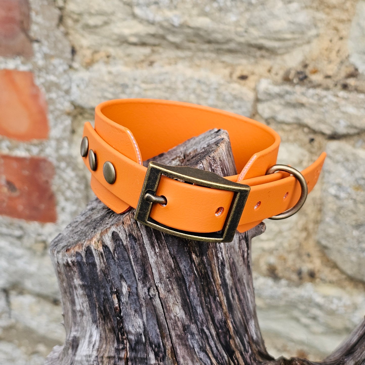 Burnt Orange - Waterproof BioThane® Sighthound Collar / wide-fit Dog Collar