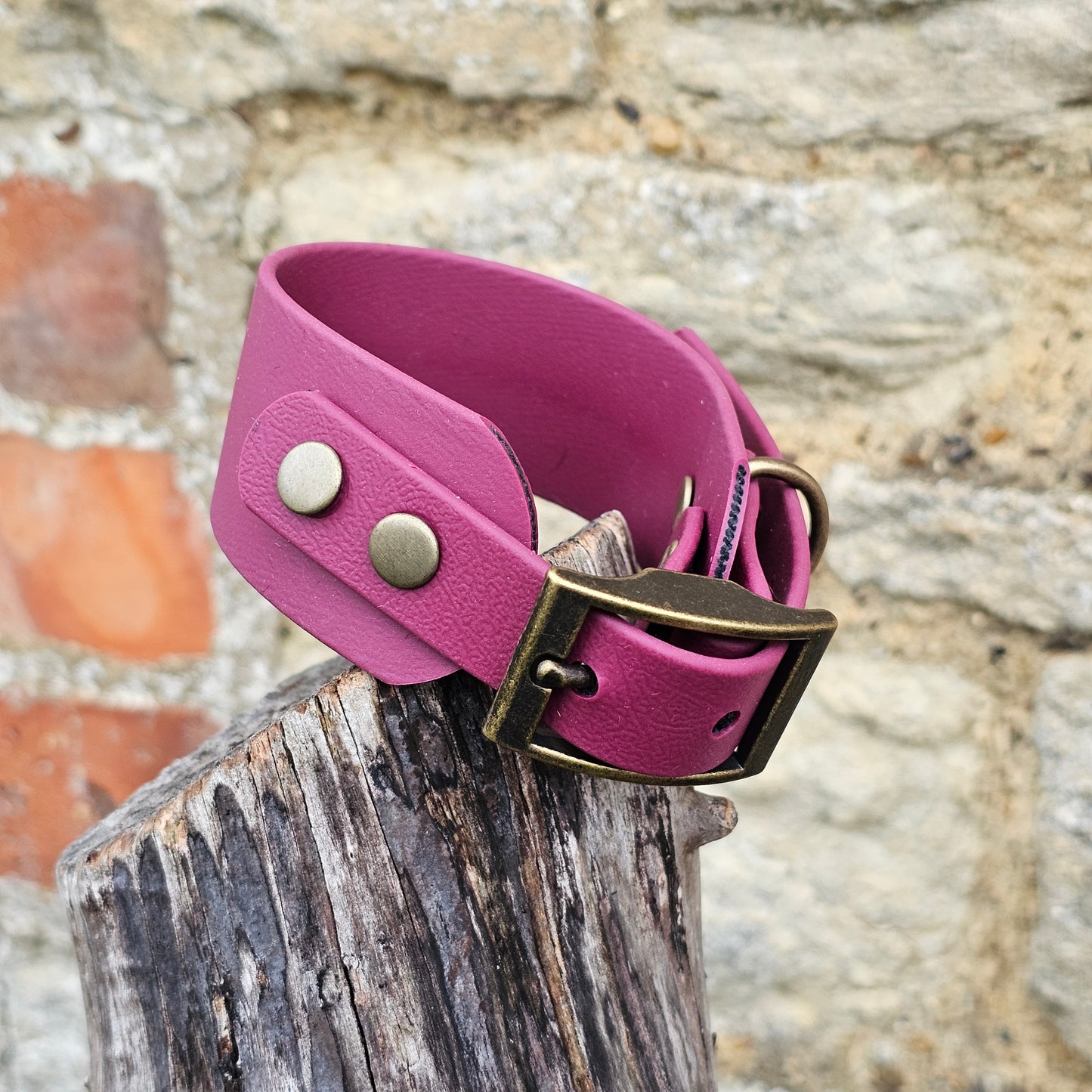 Burgundy - Waterproof BioThane® Sighthound Collar / wide-fit Dog Collar