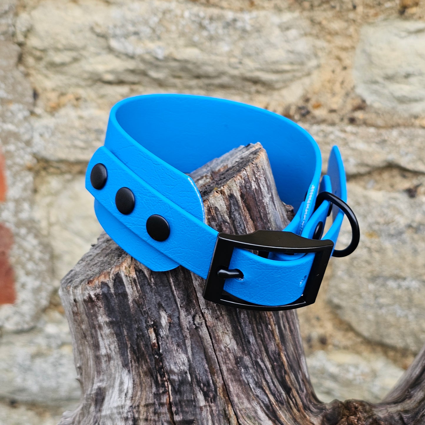 Ocean Blue - Waterproof BioThane® Sighthound Collar / wide-fit Dog Collar
