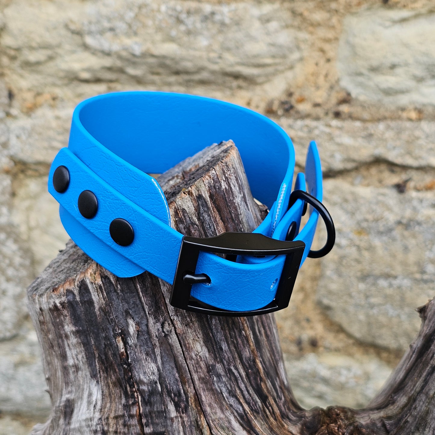 Ocean Blue - Waterproof BioThane® Sighthound Collar / wide-fit Dog Collar