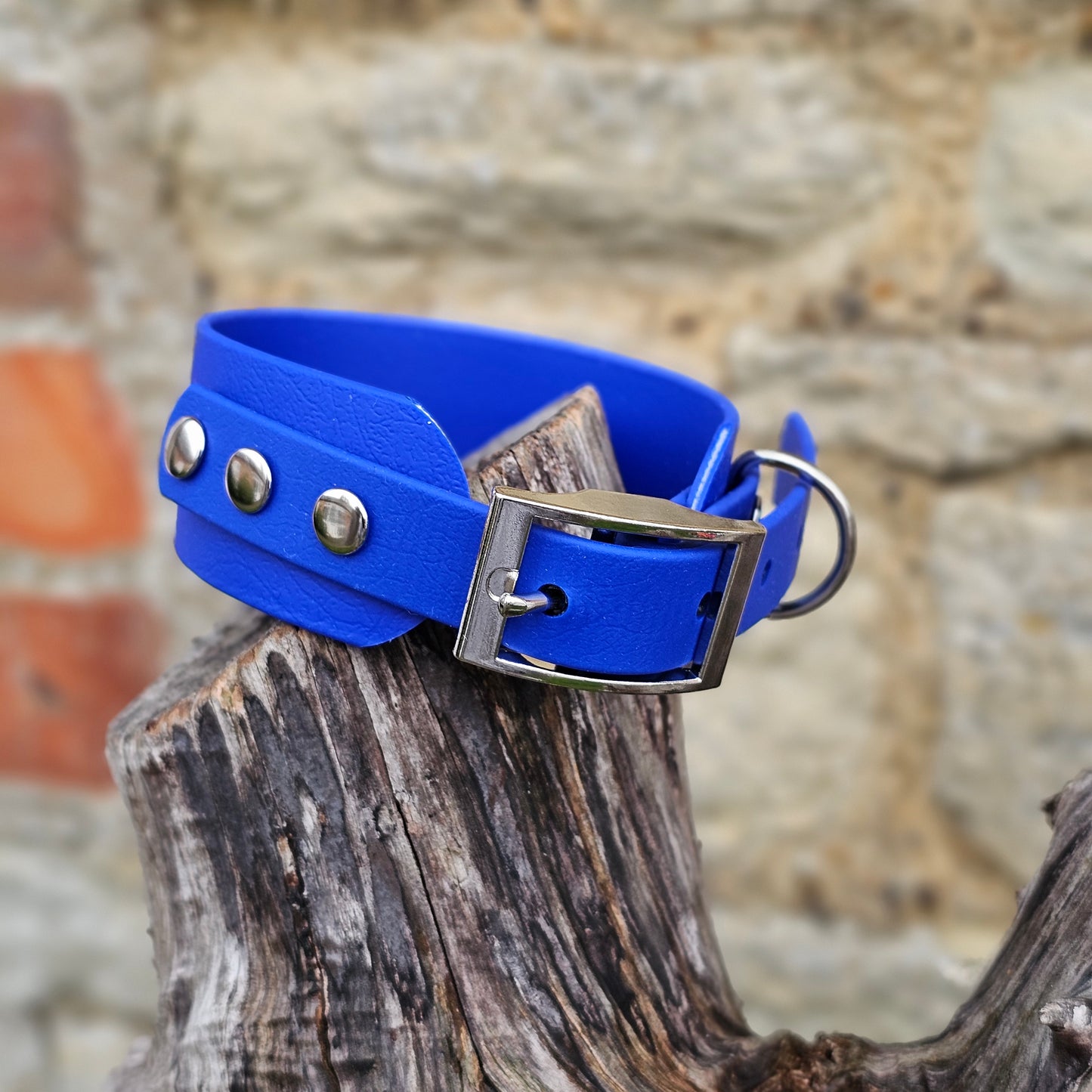 Royal Blue - Waterproof BioThane® Sighthound Collar / wide-fit Dog Collar