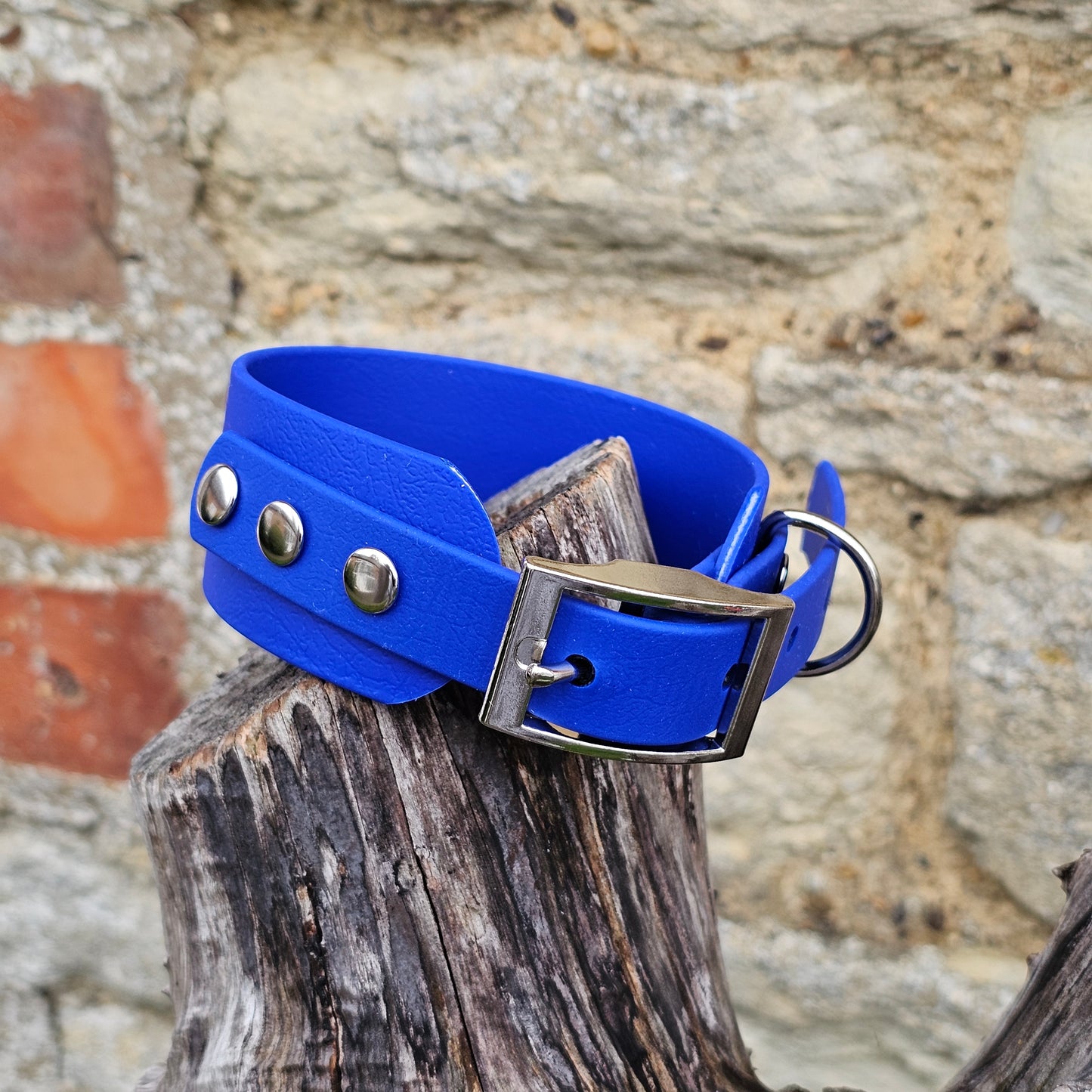 Royal Blue - Waterproof BioThane® Sighthound Collar / wide-fit Dog Collar