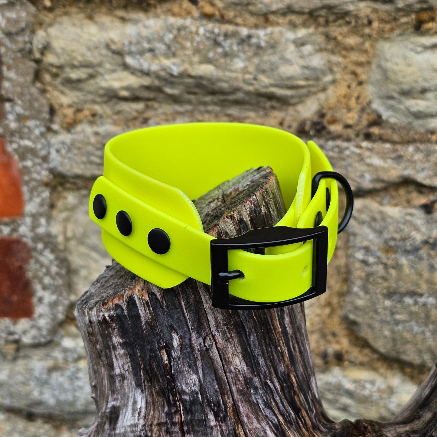Neon Yellow - Waterproof BioThane® Sighthound Collar / wide-fit Dog Collar