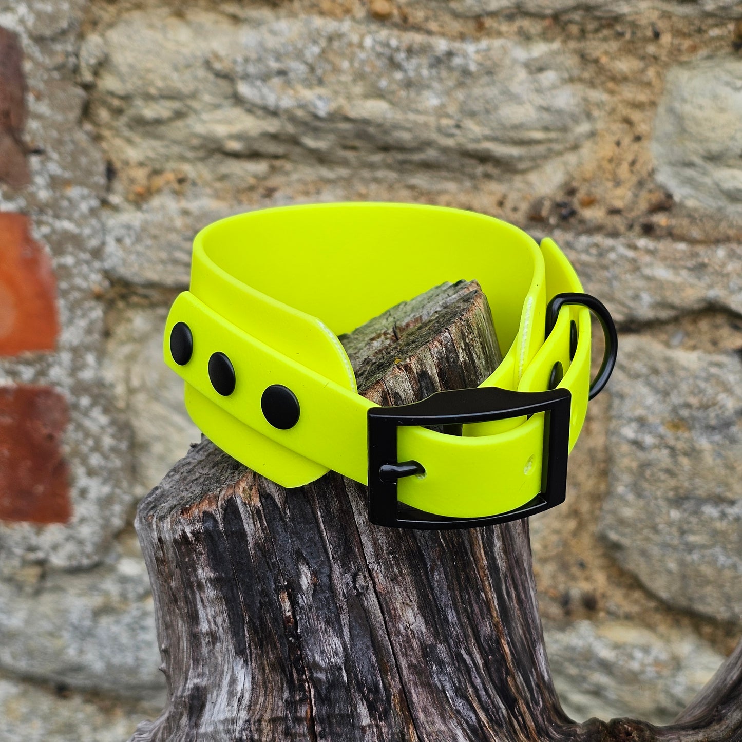 Neon Yellow - Waterproof BioThane® Sighthound Collar / wide-fit Dog Collar