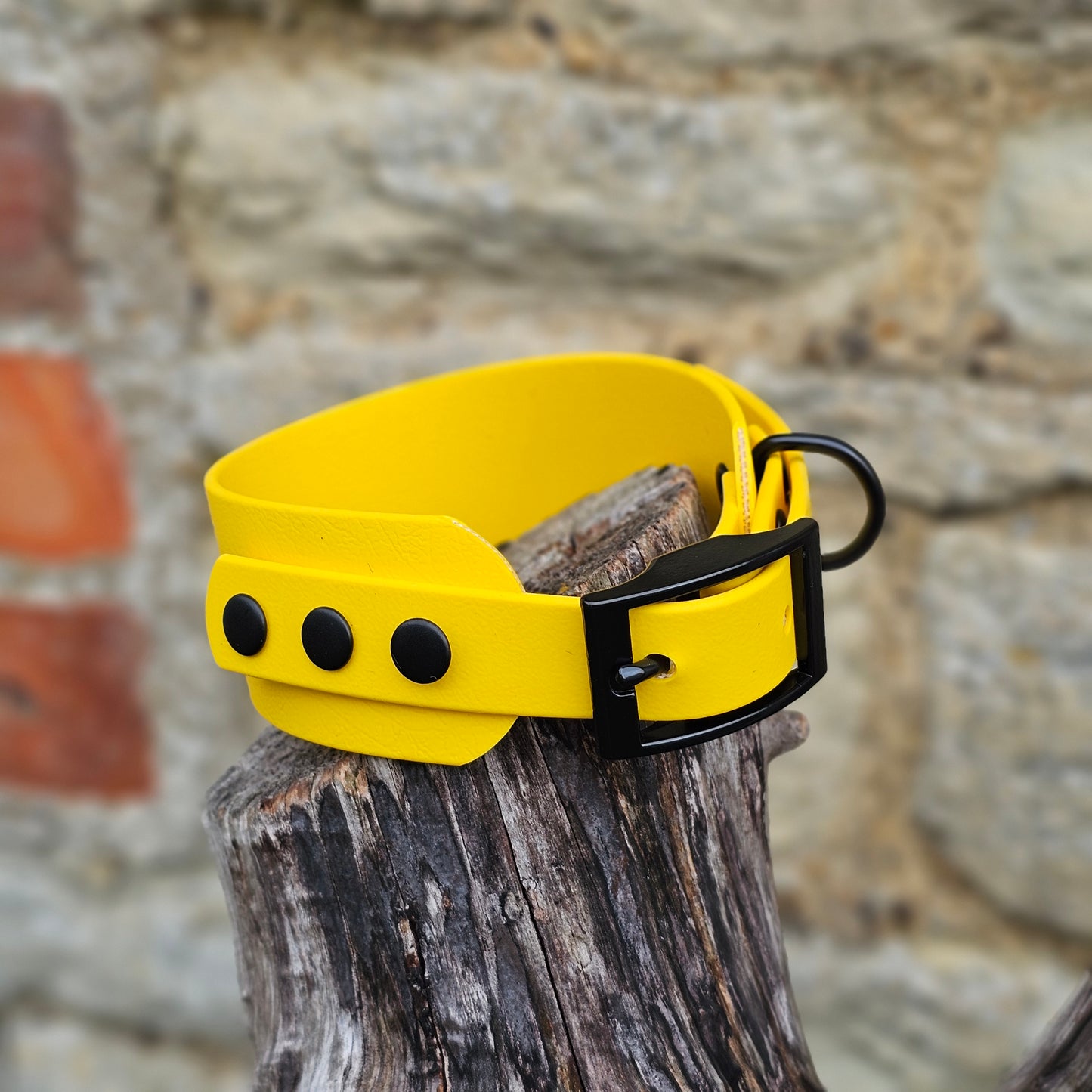 Yellow - Waterproof BioThane® Sighthound Collar / wide-fit Dog Collar