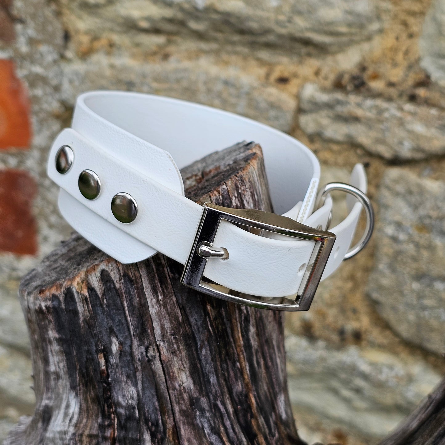 White - Waterproof BioThane® Sighthound Collar / wide-fit Dog Collar