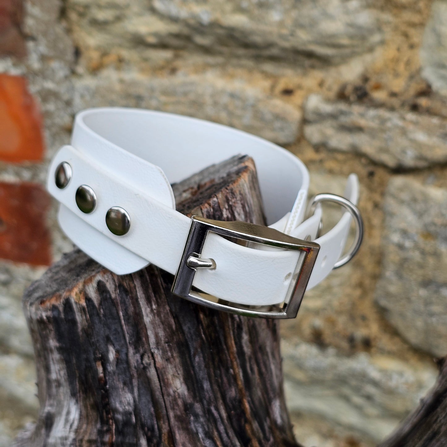 White - Waterproof BioThane® Sighthound Collar / wide-fit Dog Collar