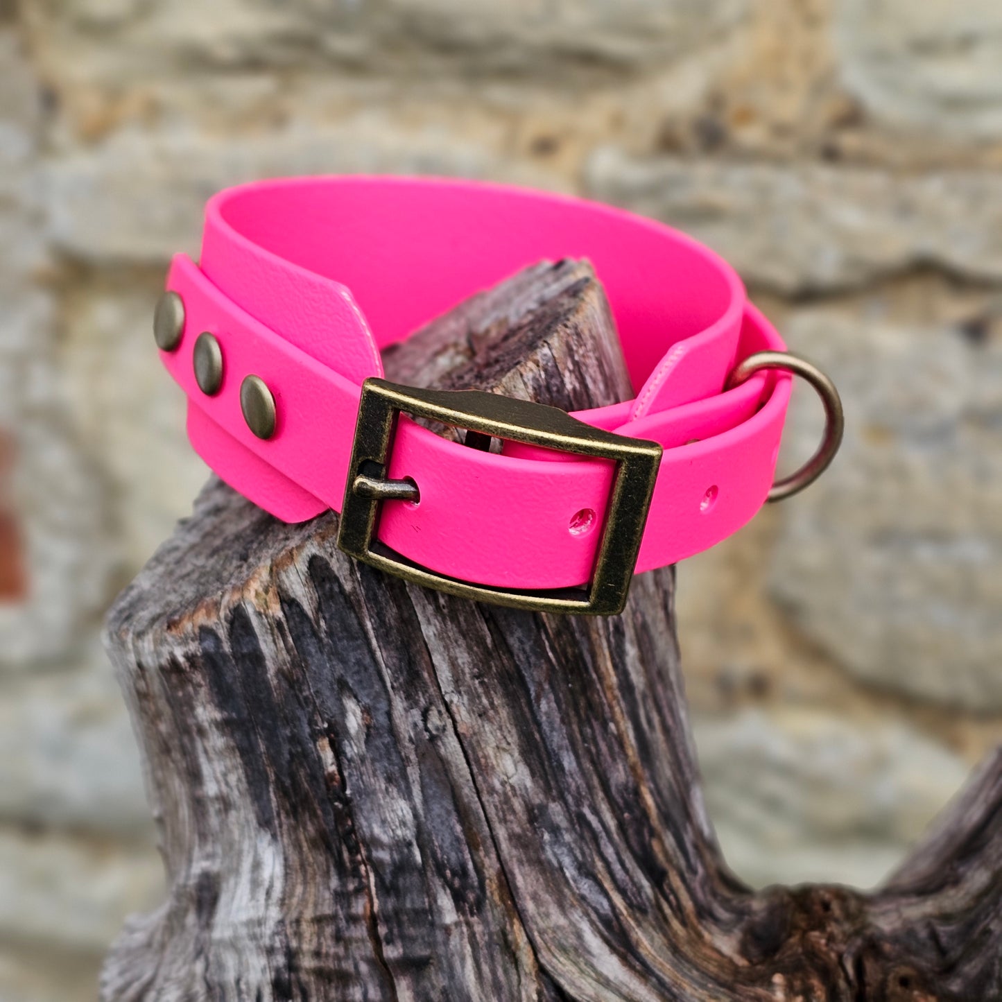 Passion Pink - Waterproof BioThane® Sighthound Collar / wide-fit Dog Collar