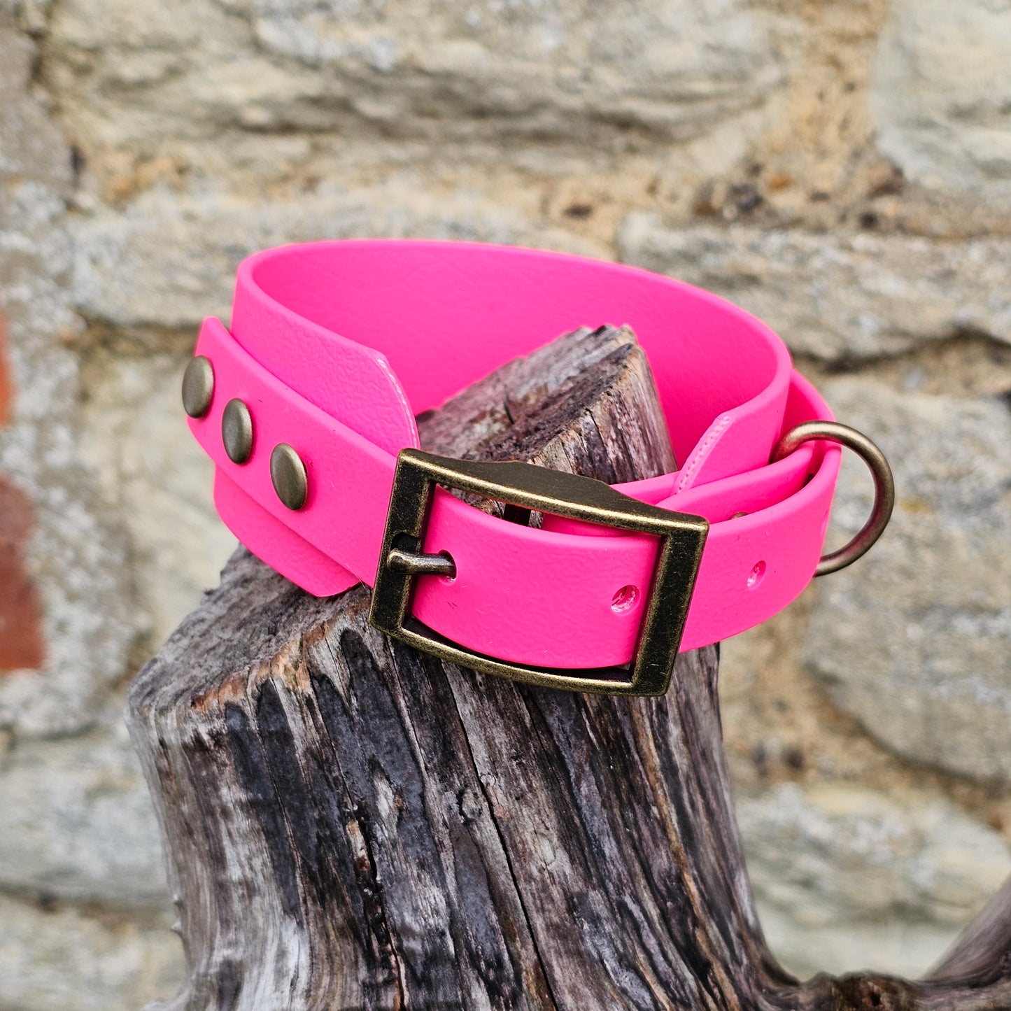 Passion Pink - Waterproof BioThane® Sighthound Collar / wide-fit Dog Collar