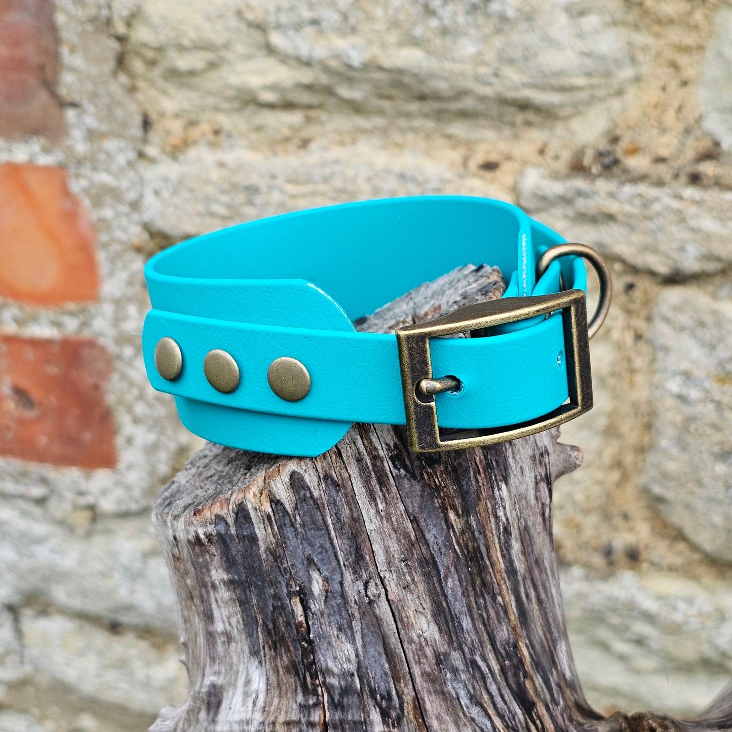 Neon Blue - Waterproof BioThane® Sighthound Collar / wide-fit Dog Collar