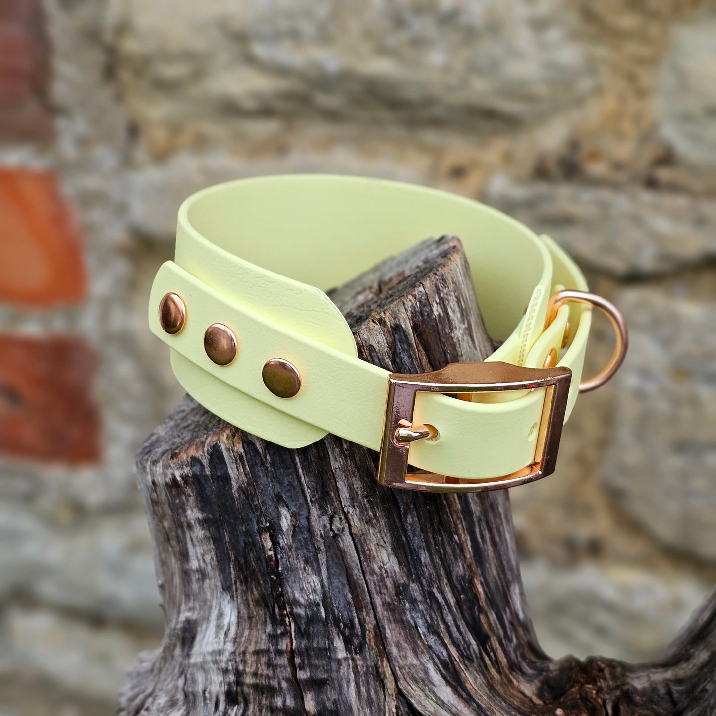 Lemon - Waterproof BioThane® Sighthound Collar / wide-fit Dog Collar