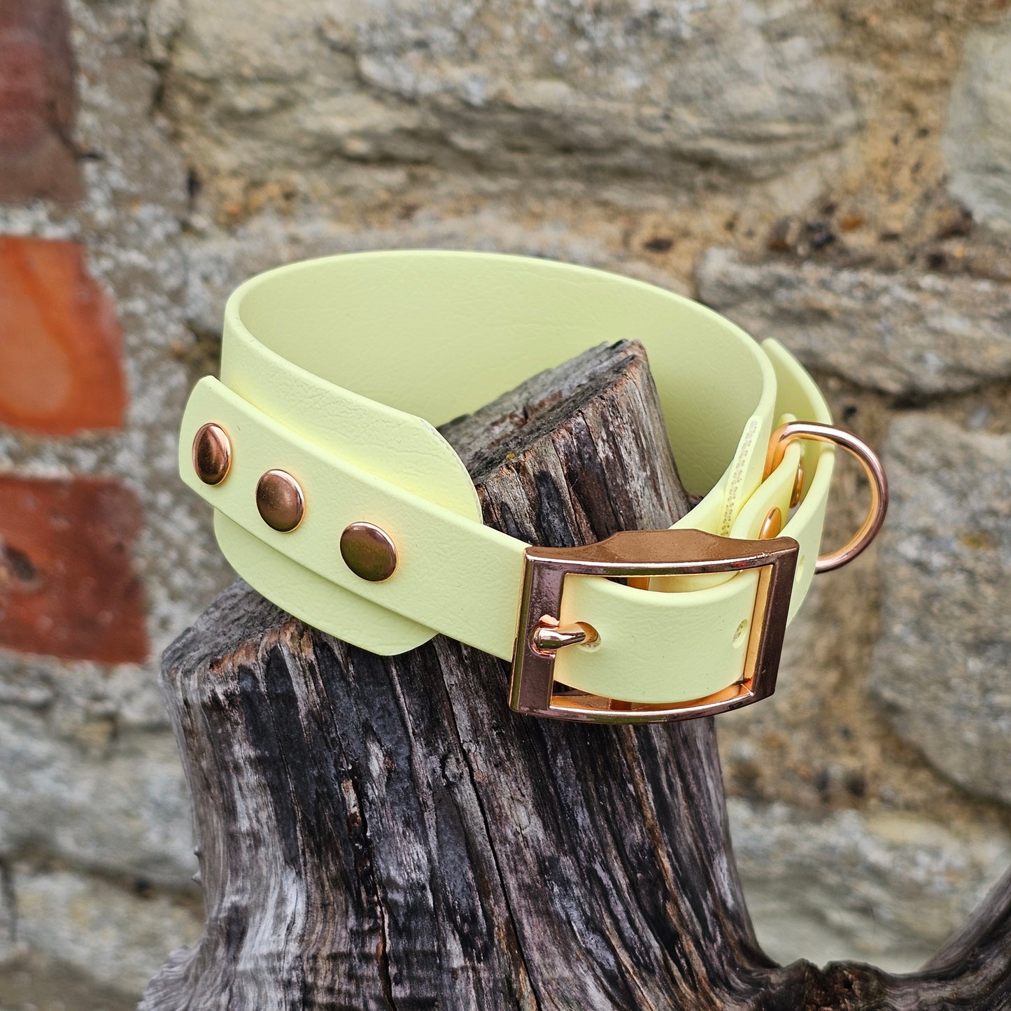 Lemon - Waterproof BioThane® Sighthound Collar / wide-fit Dog Collar