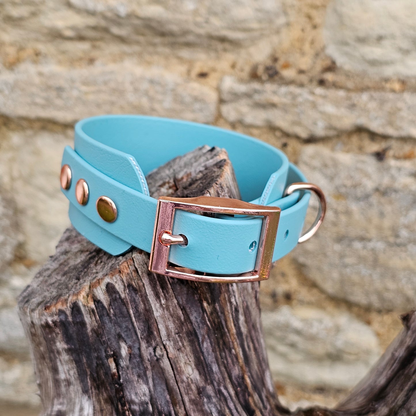 Duckegg - Waterproof BioThane® Sighthound Collar / wide-fit Dog Collar