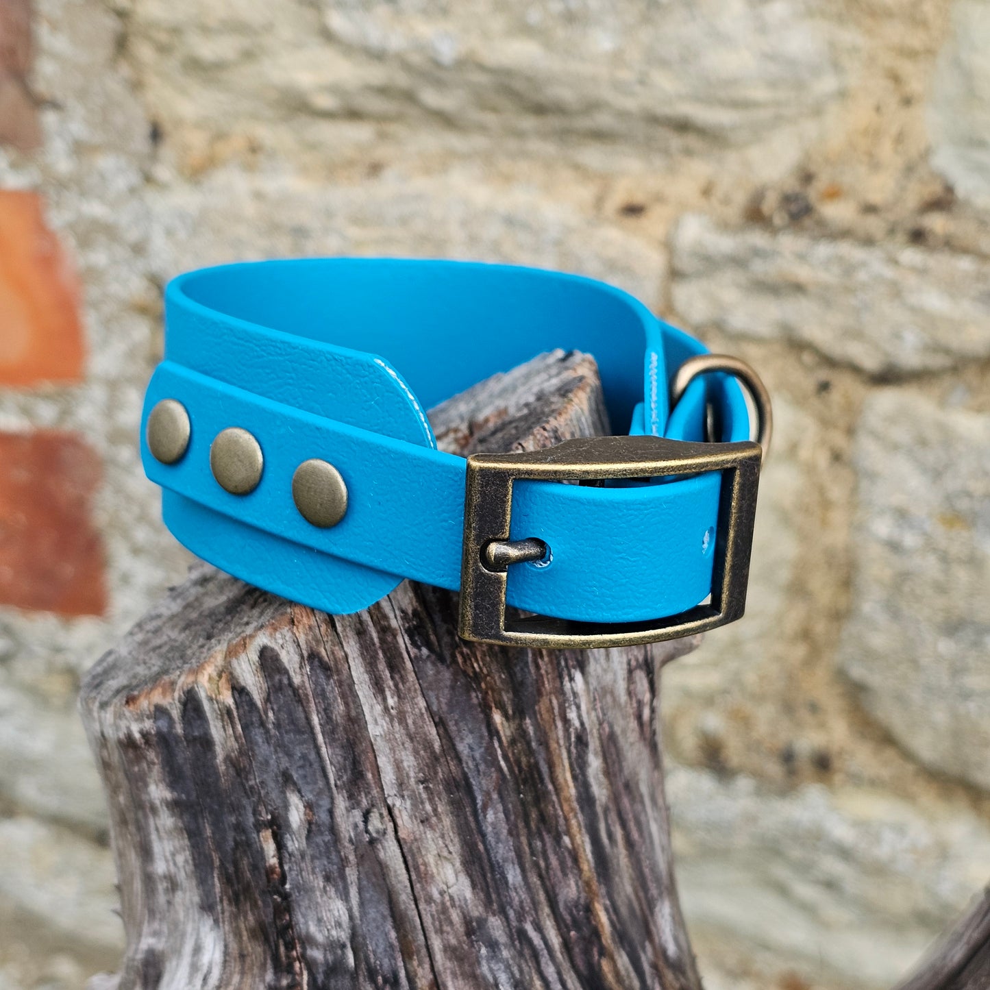 Lagune - Waterproof BioThane® Sighthound Collar / wide-fit Dog Collar