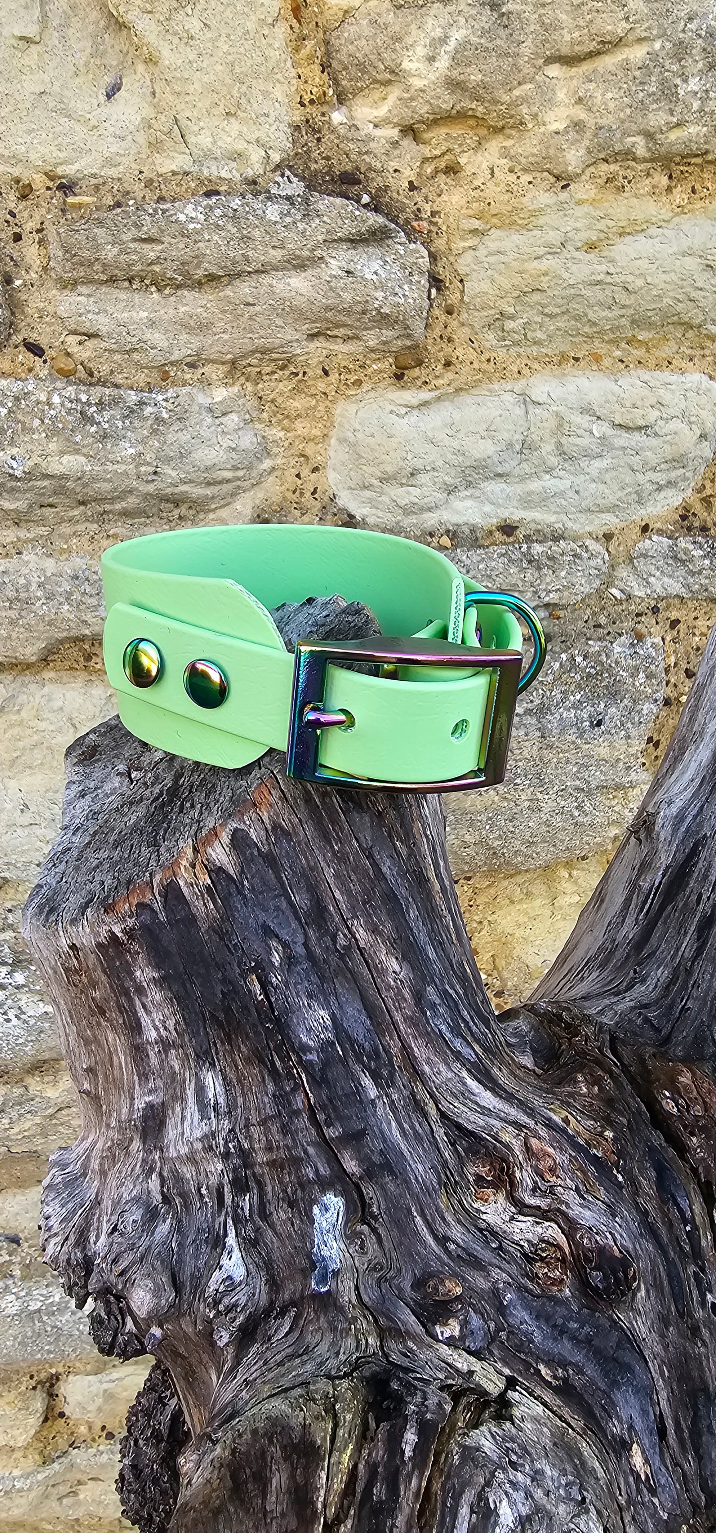 Pistachio - Waterproof BioThane® Sighthound Collar / wide-fit Dog Collar