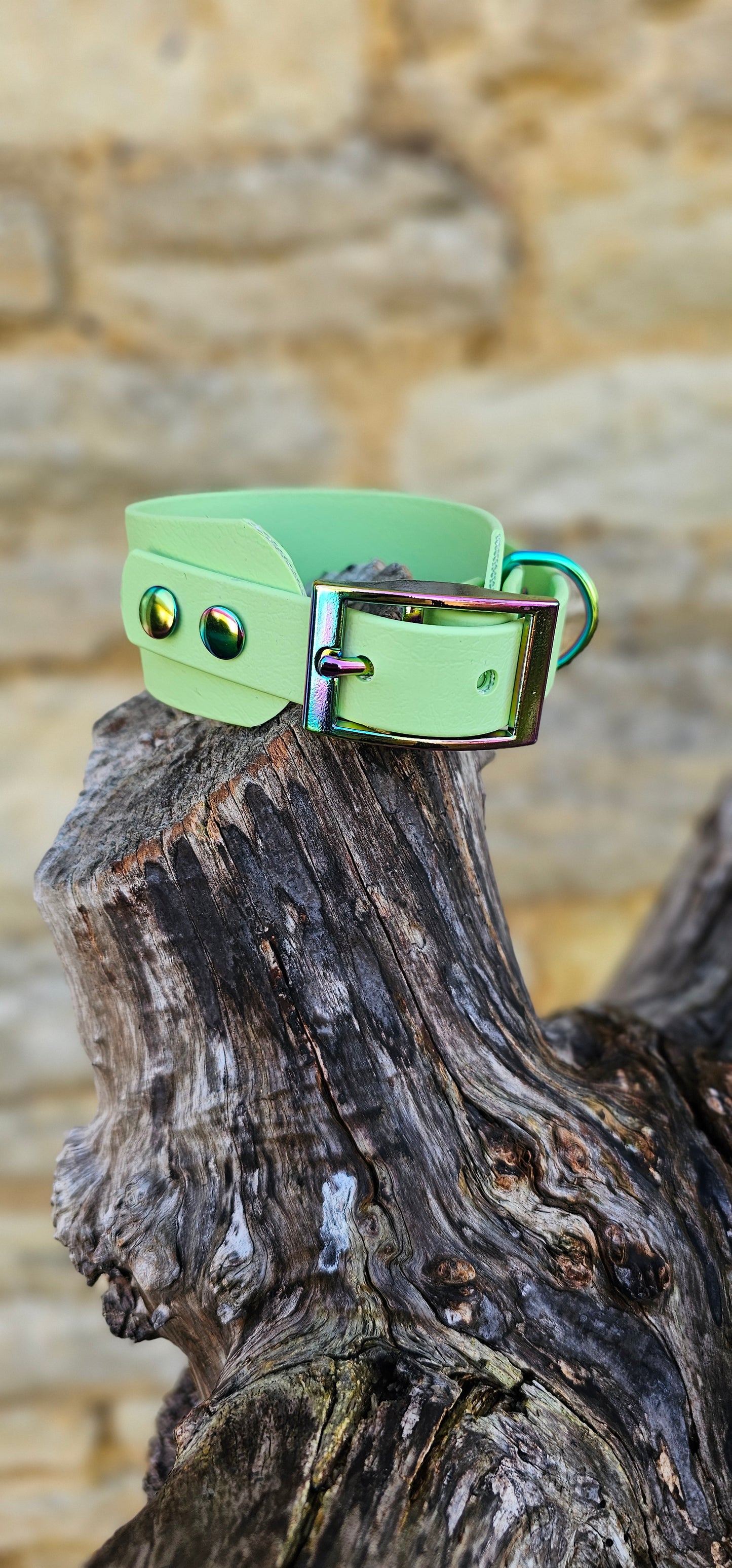 Pistachio - Waterproof BioThane® Sighthound Collar / wide-fit Dog Collar