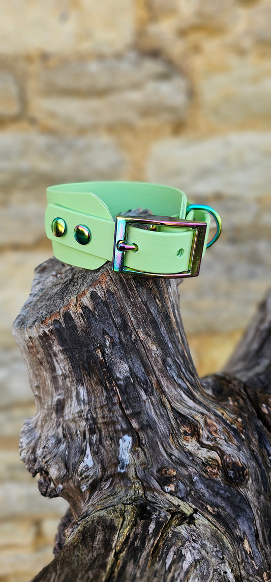 Pistachio - Waterproof BioThane® Sighthound Collar / wide-fit Dog Collar
