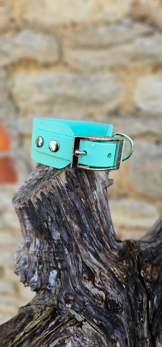 Mint - Waterproof BioThane® Sighthound Collar / wide-fit Dog Collar
