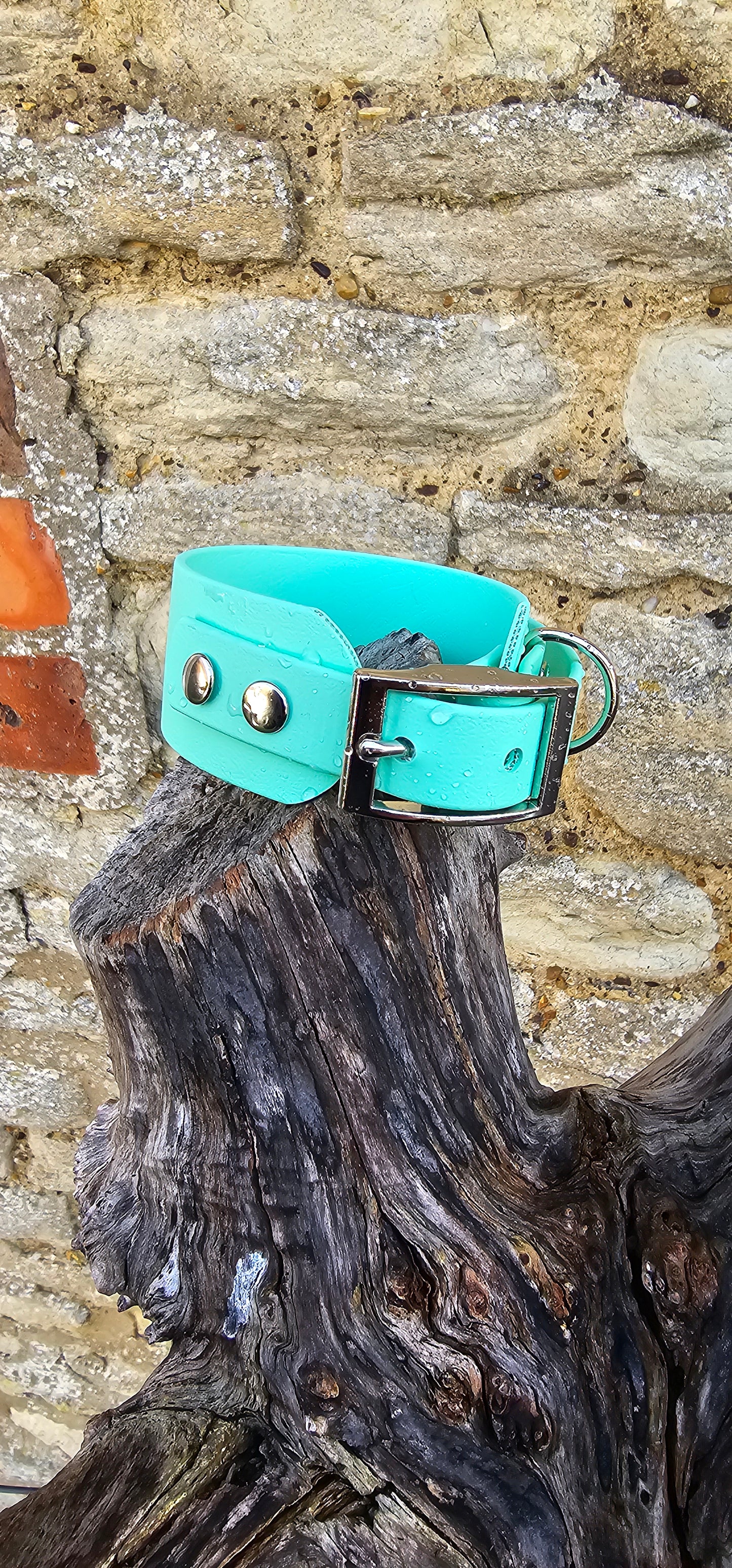 Mint - Waterproof BioThane® Sighthound Collar / wide-fit Dog Collar