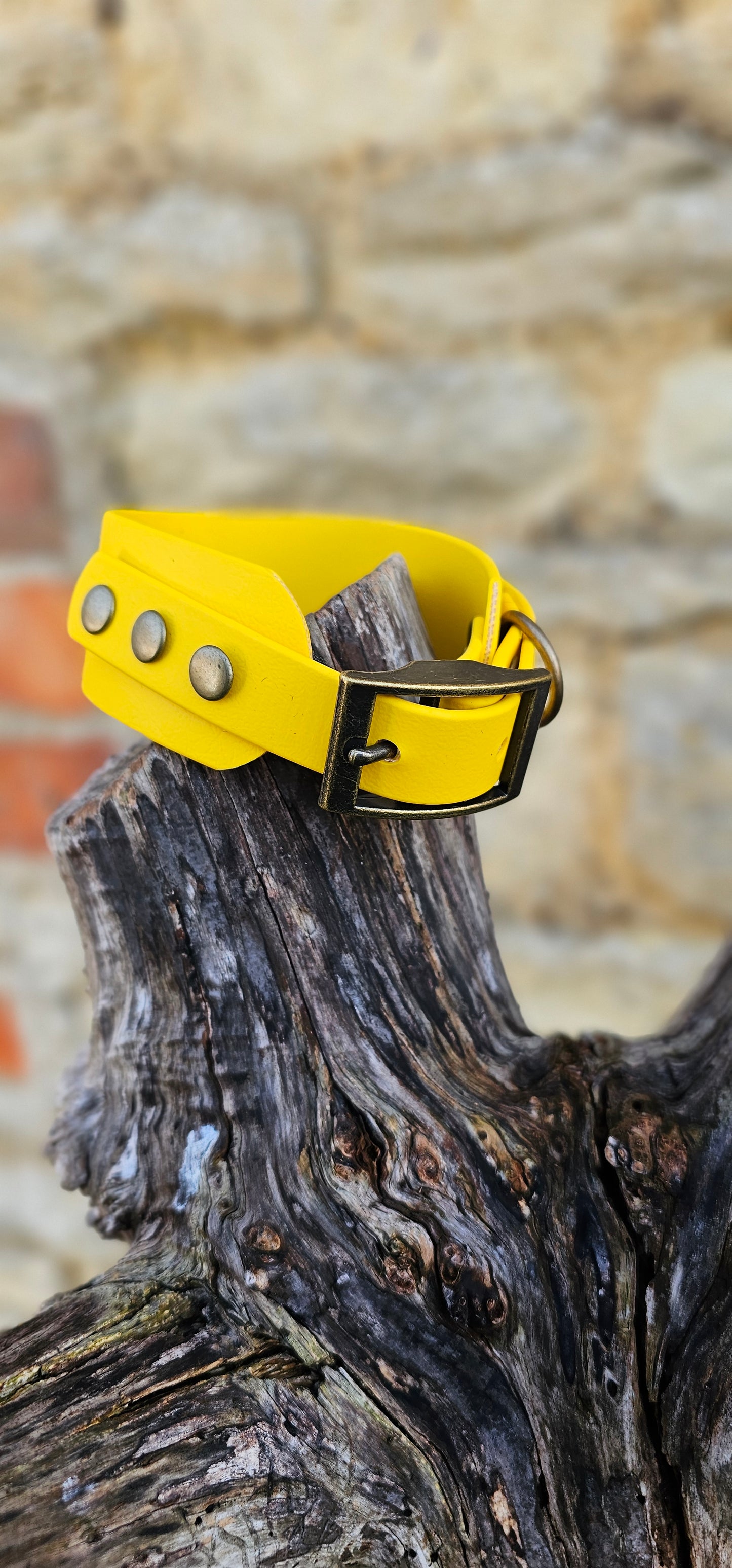 Yellow - Waterproof BioThane® Sighthound Collar / wide-fit Dog Collar