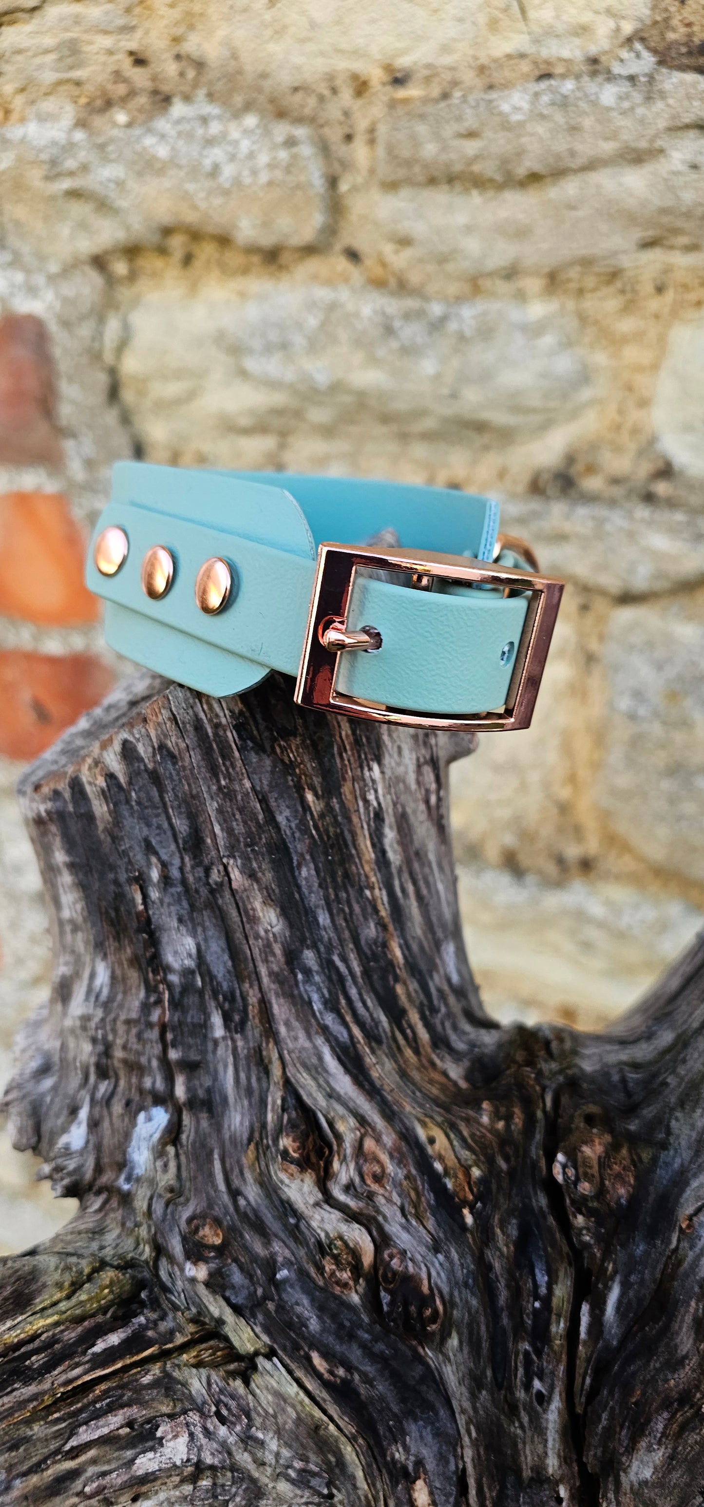 Sage - Waterproof BioThane® Sighthound Collar / wide-fit Dog Collar