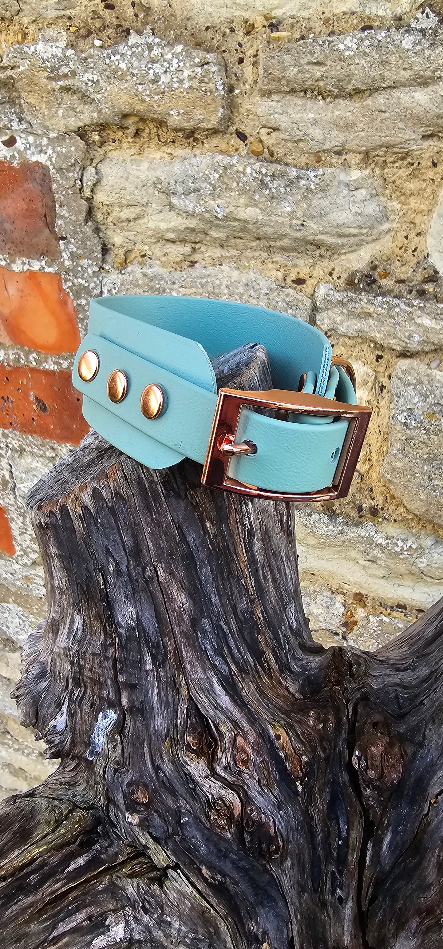 Sage - Waterproof BioThane® Sighthound Collar / wide-fit Dog Collar