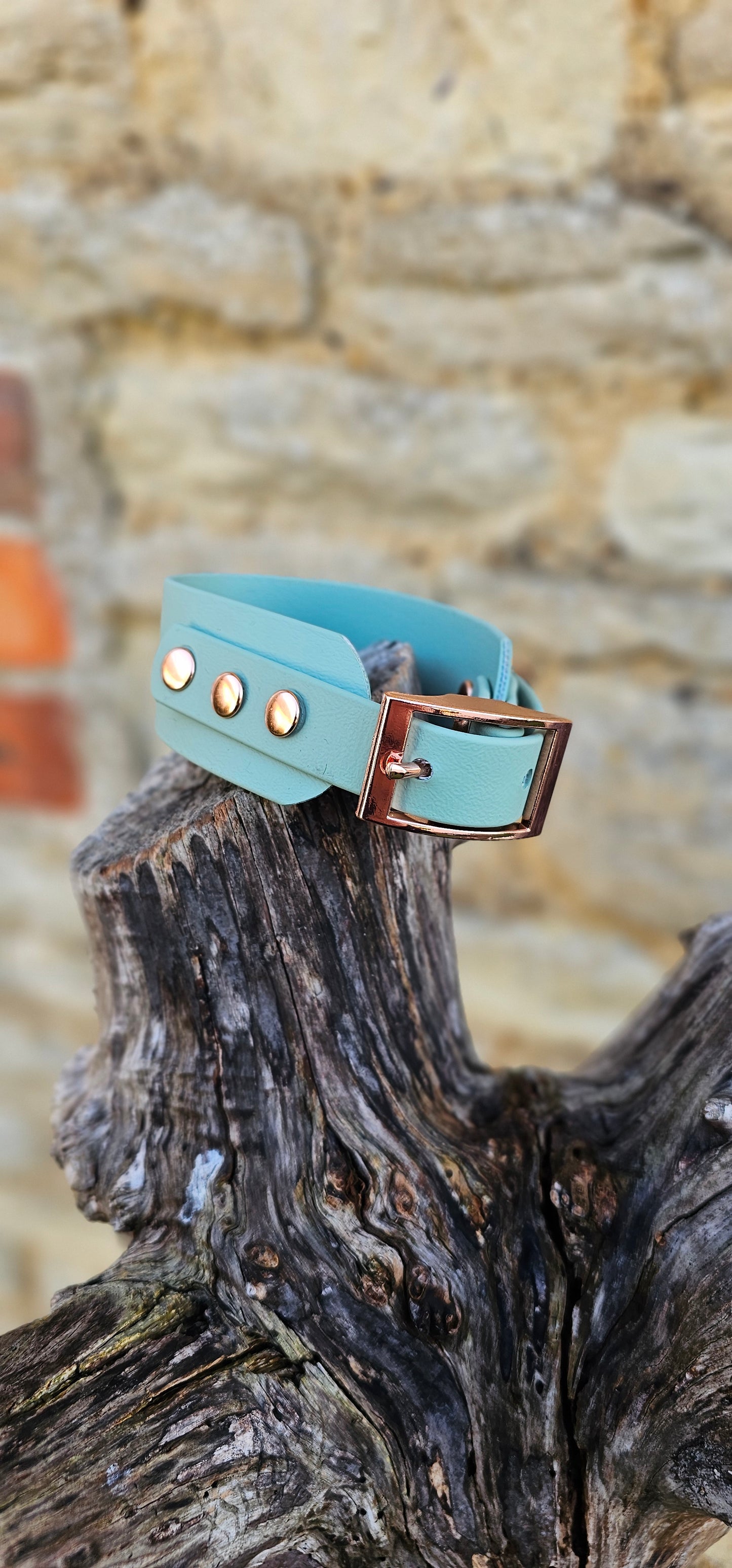 Sage - Waterproof BioThane® Sighthound Collar / wide-fit Dog Collar