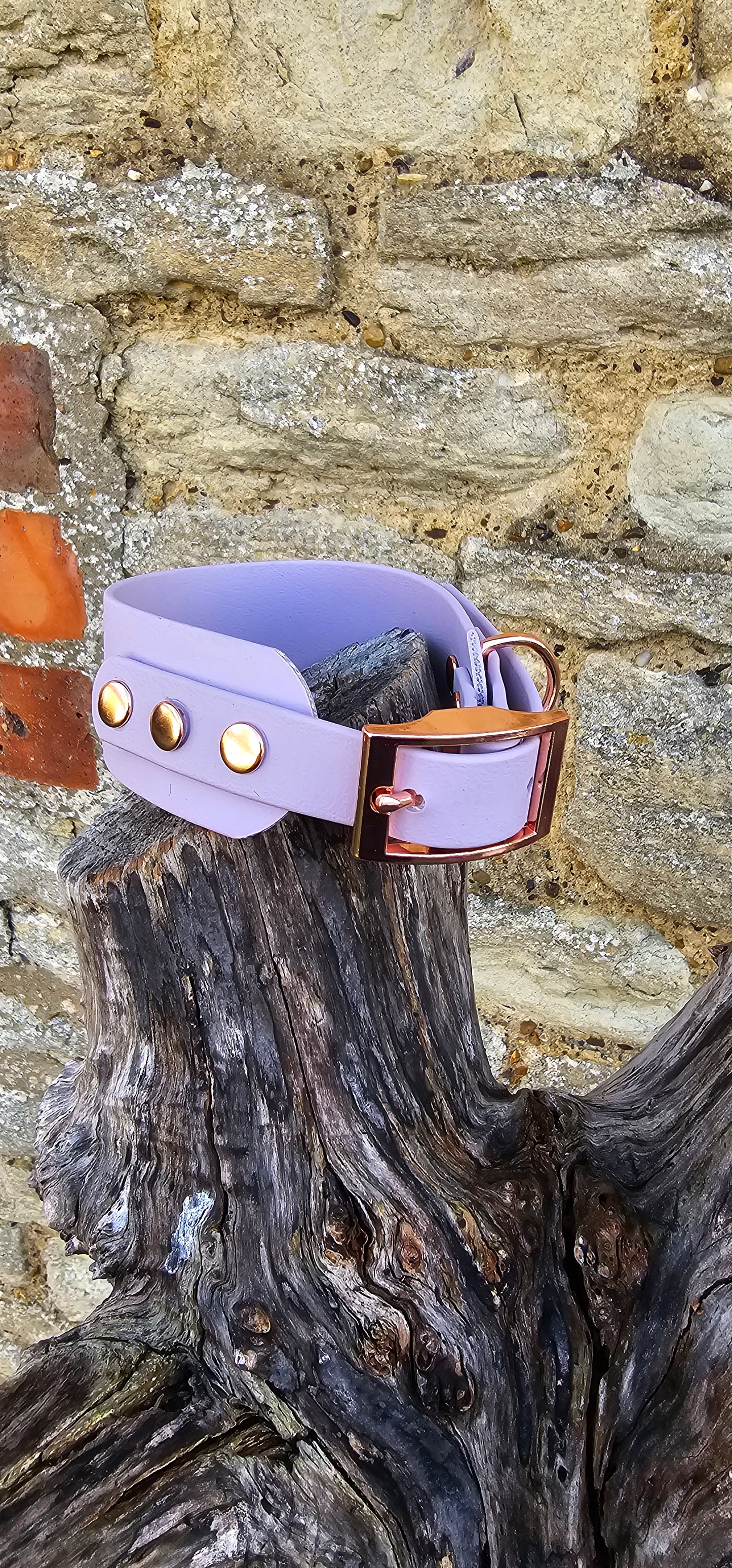 Lilac - Waterproof BioThane® Sighthound Collar / wide-fit Dog Collar