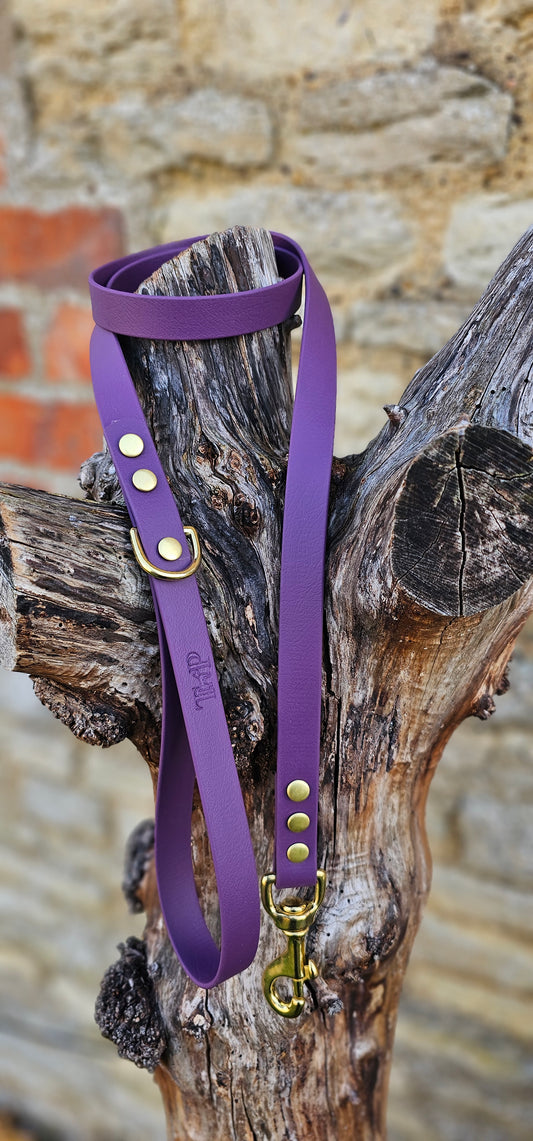 Aubergine - Everlast Waterproof BioThane© Dog Lead