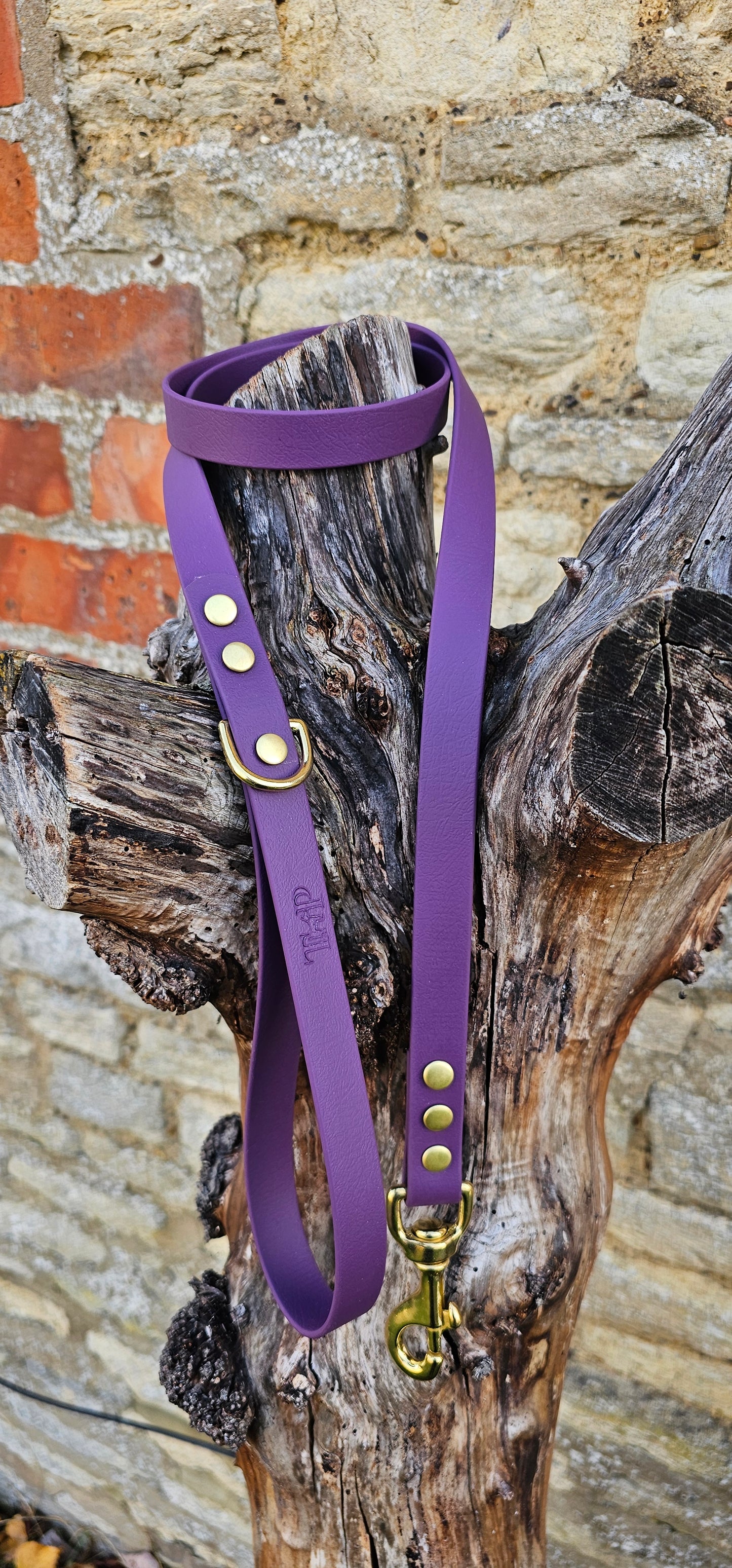 Aubergine - Everlast Waterproof BioThane© Dog Lead