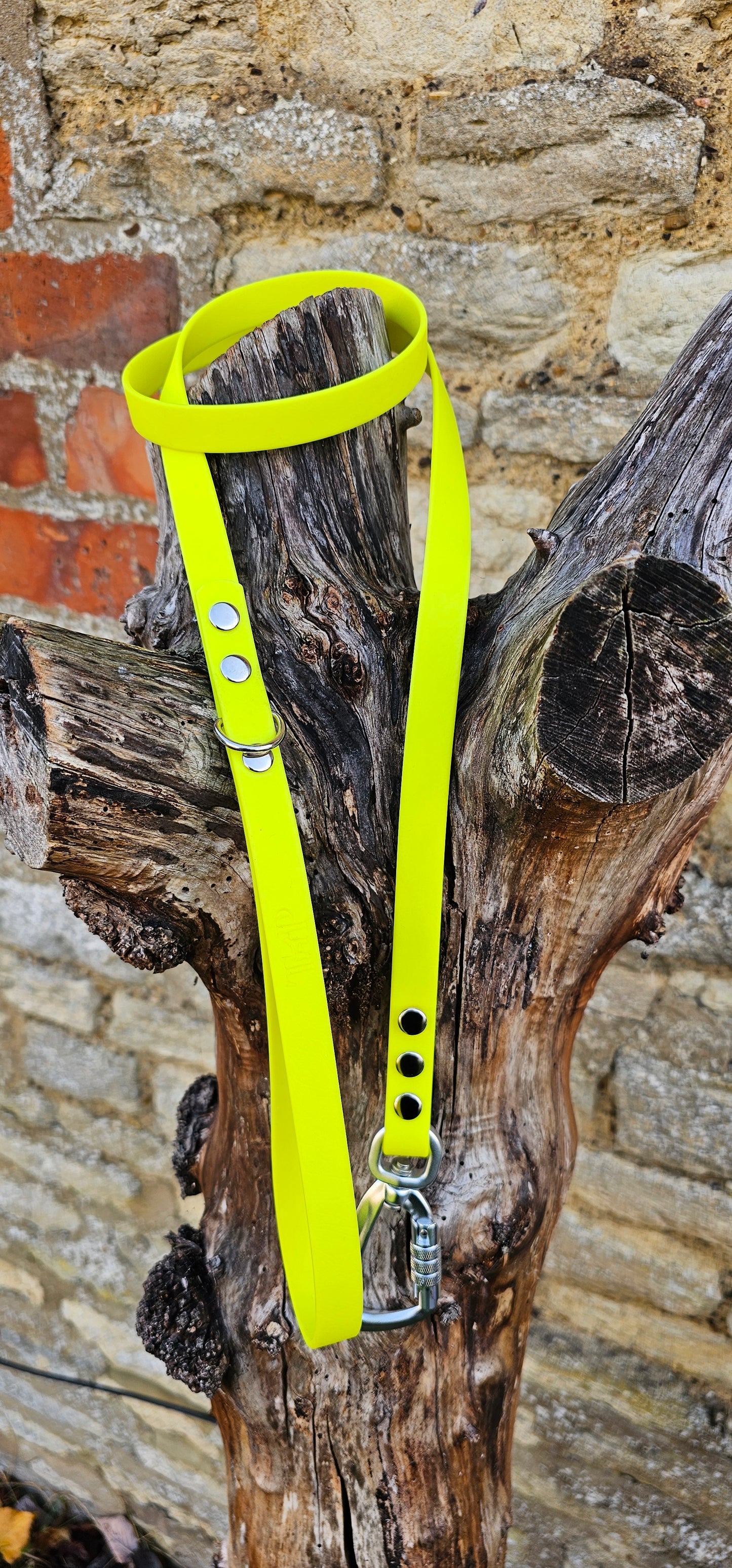 Neon Yellow - Everlast Waterproof BioThane© Dog Lead