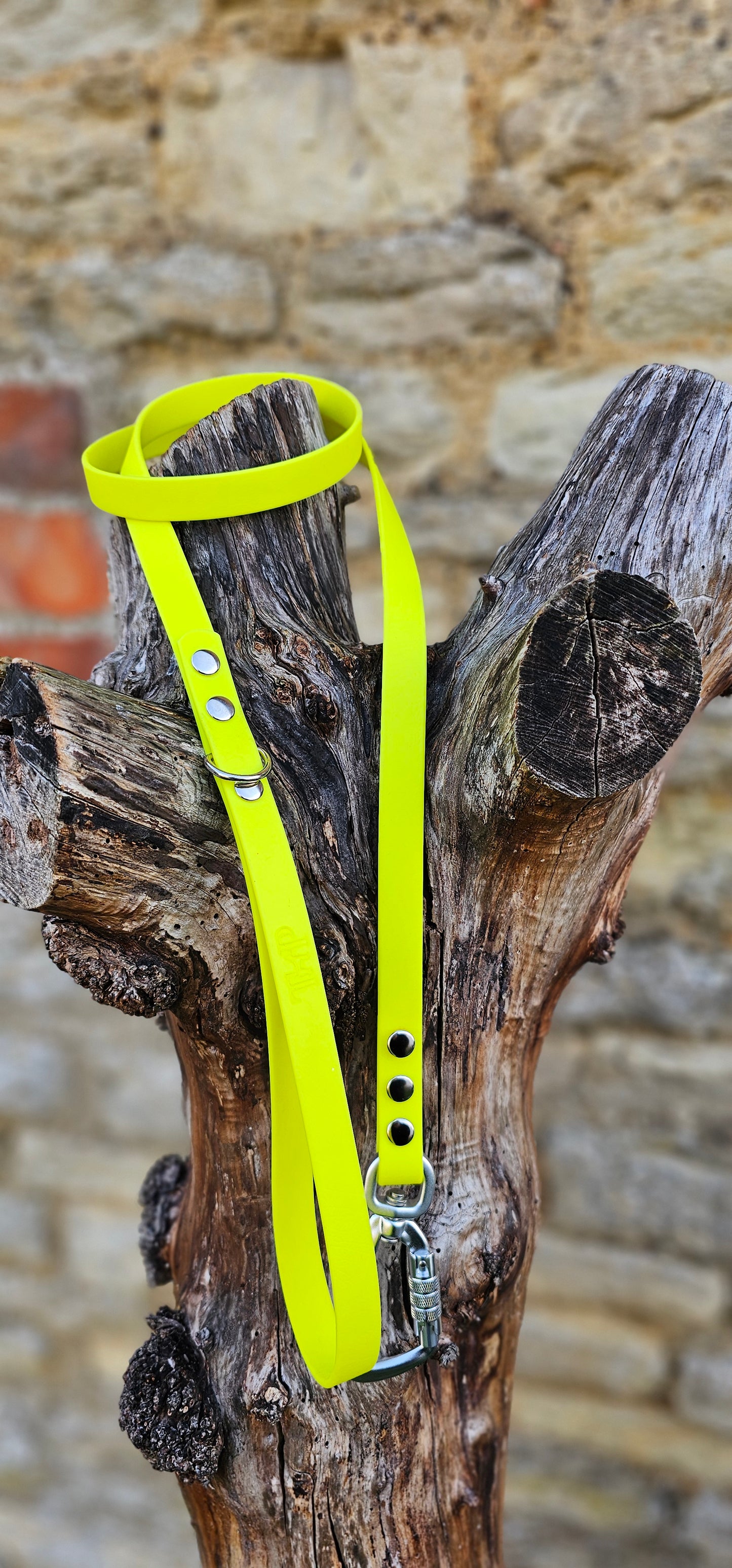 Neon Yellow - Everlast Waterproof BioThane© Dog Lead