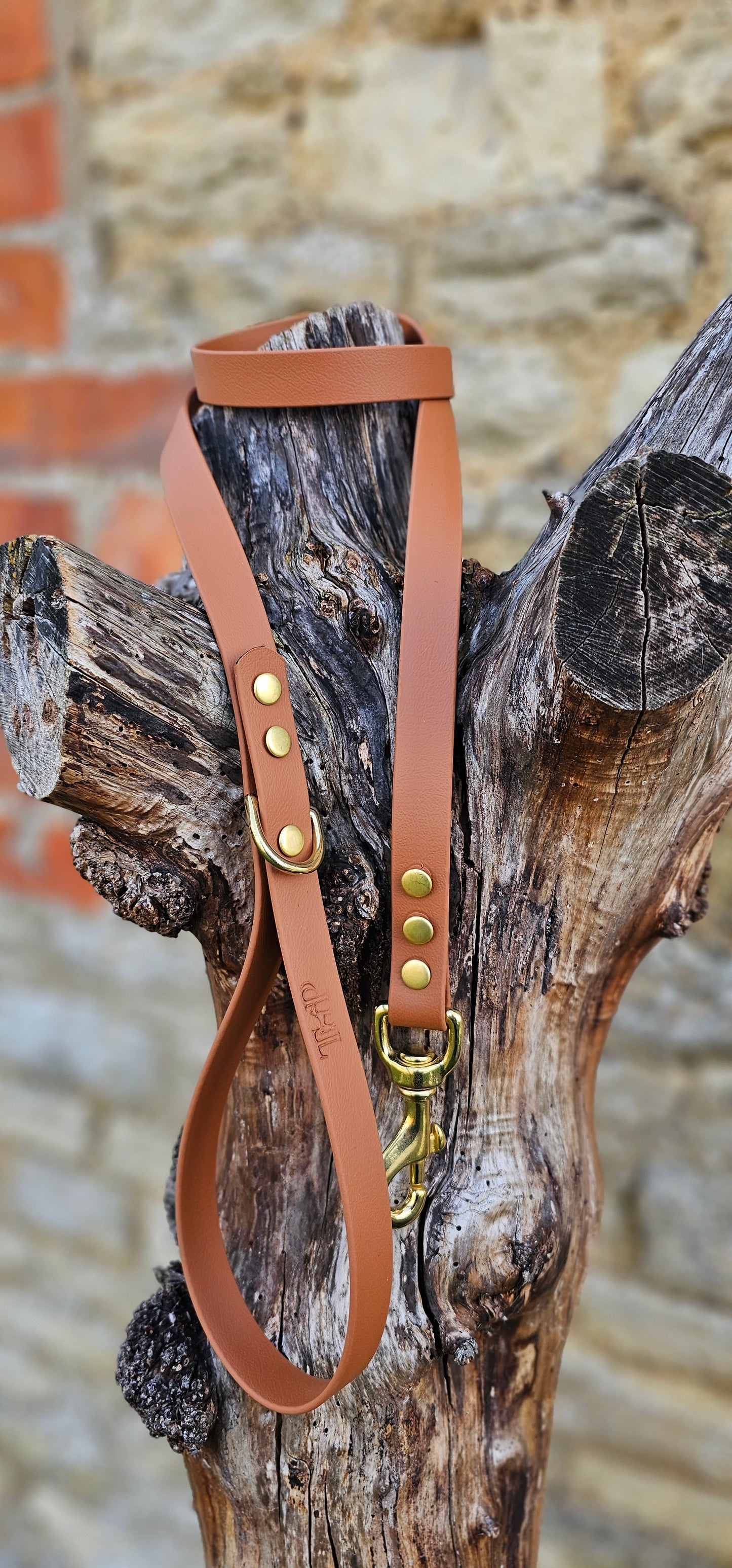 Tan - Everlast Waterproof BioThane© Dog Lead