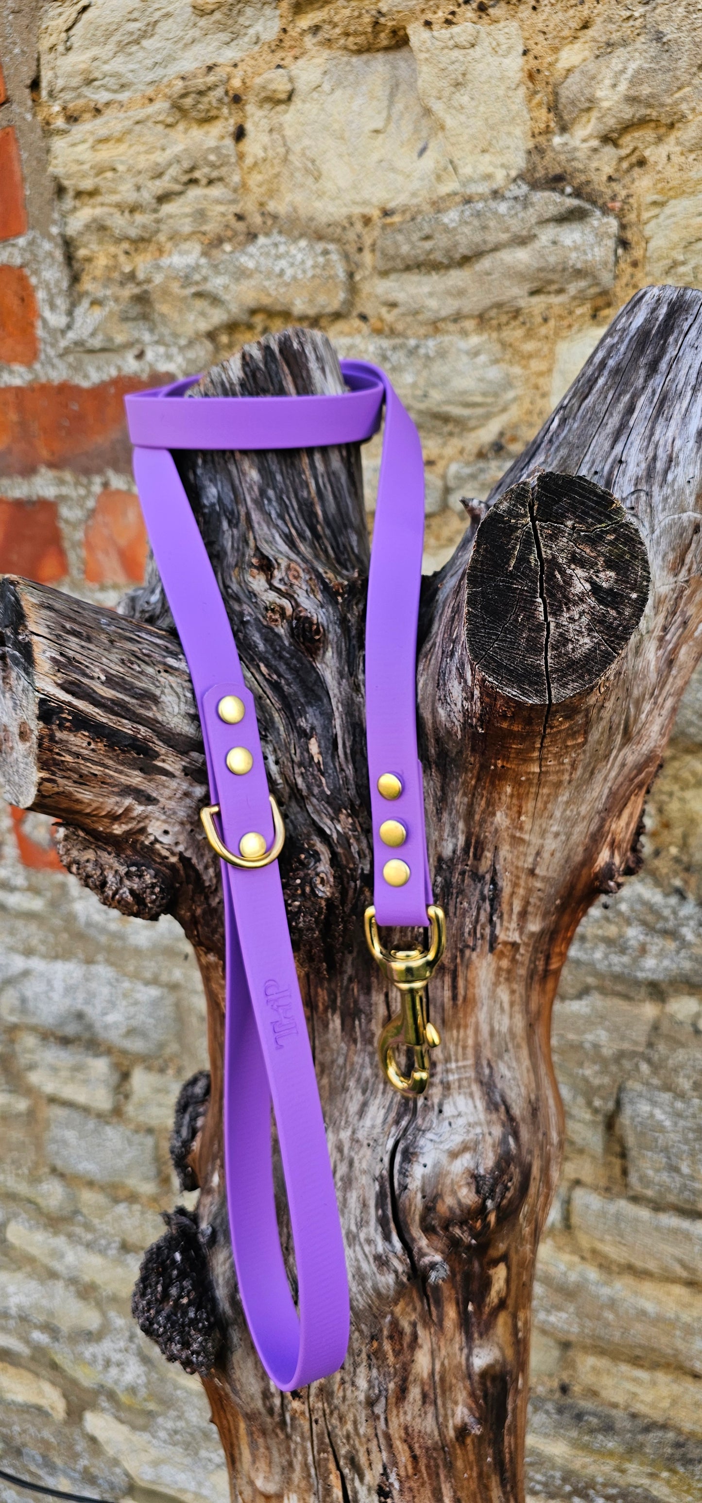 Amethyst - Everlast Waterproof BioThane© Dog Lead