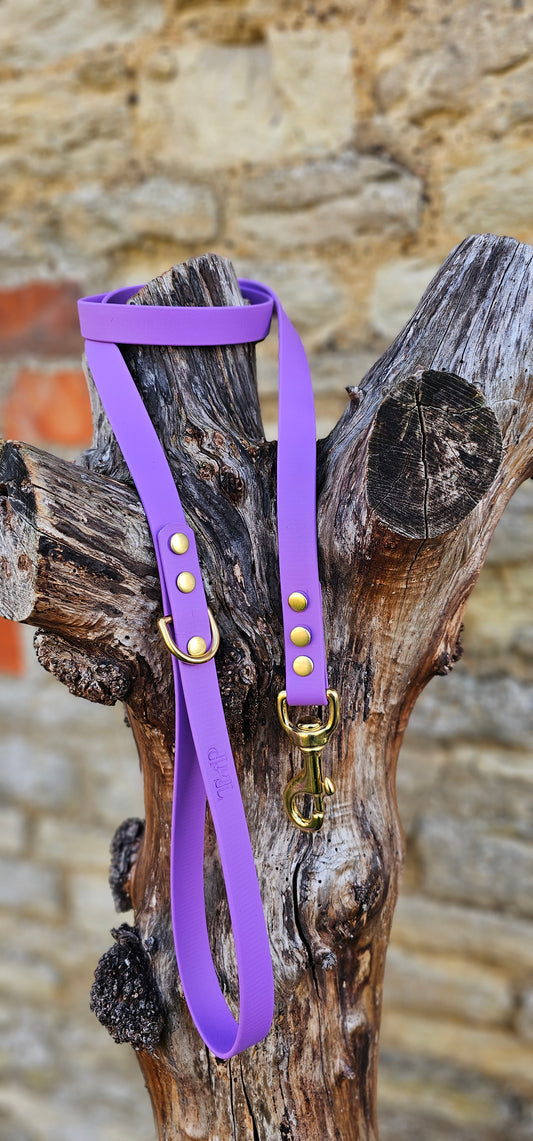 Amethyst - Everlast Waterproof BioThane© Dog Lead