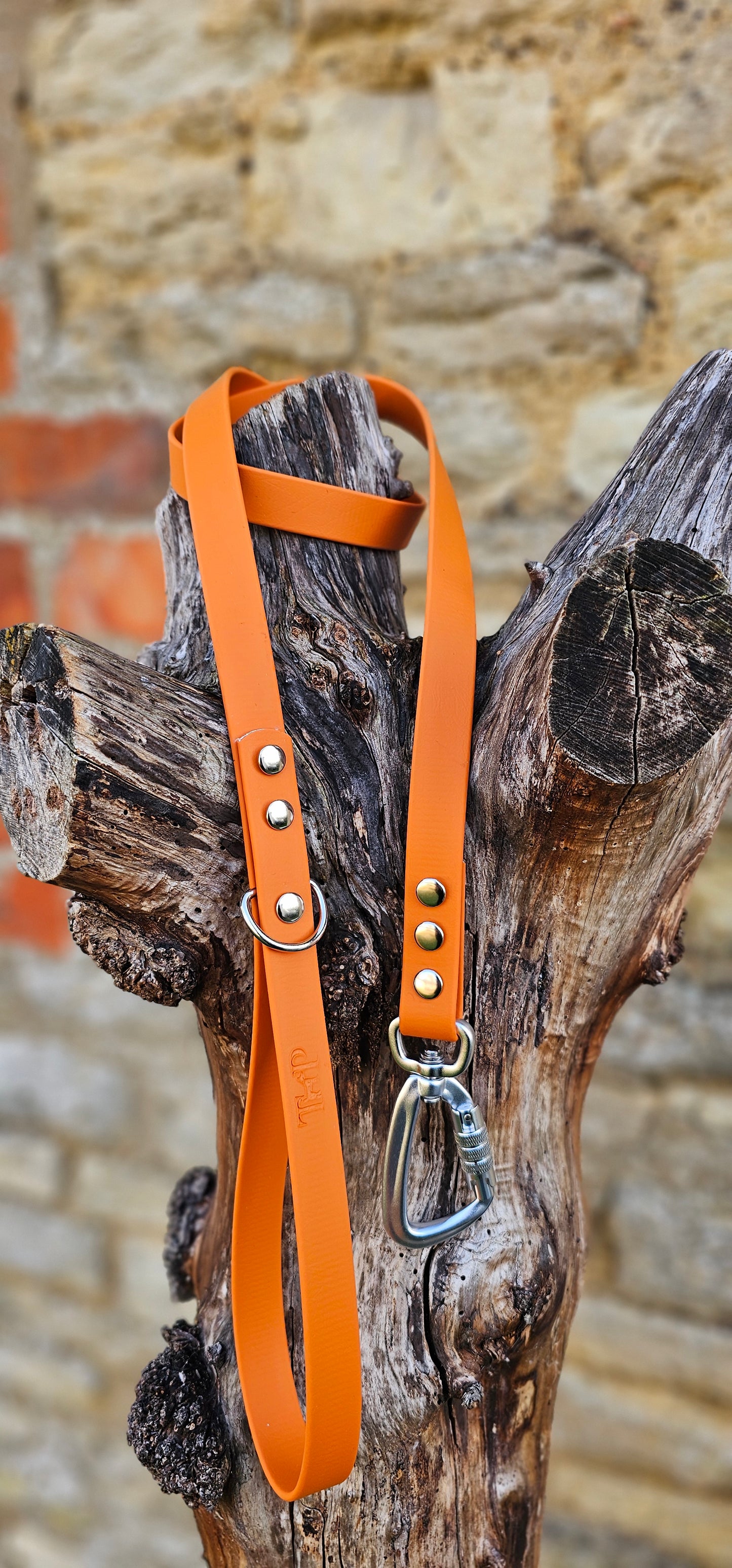 Burnt Orange - Everlast Waterproof BioThane© Dog Lead