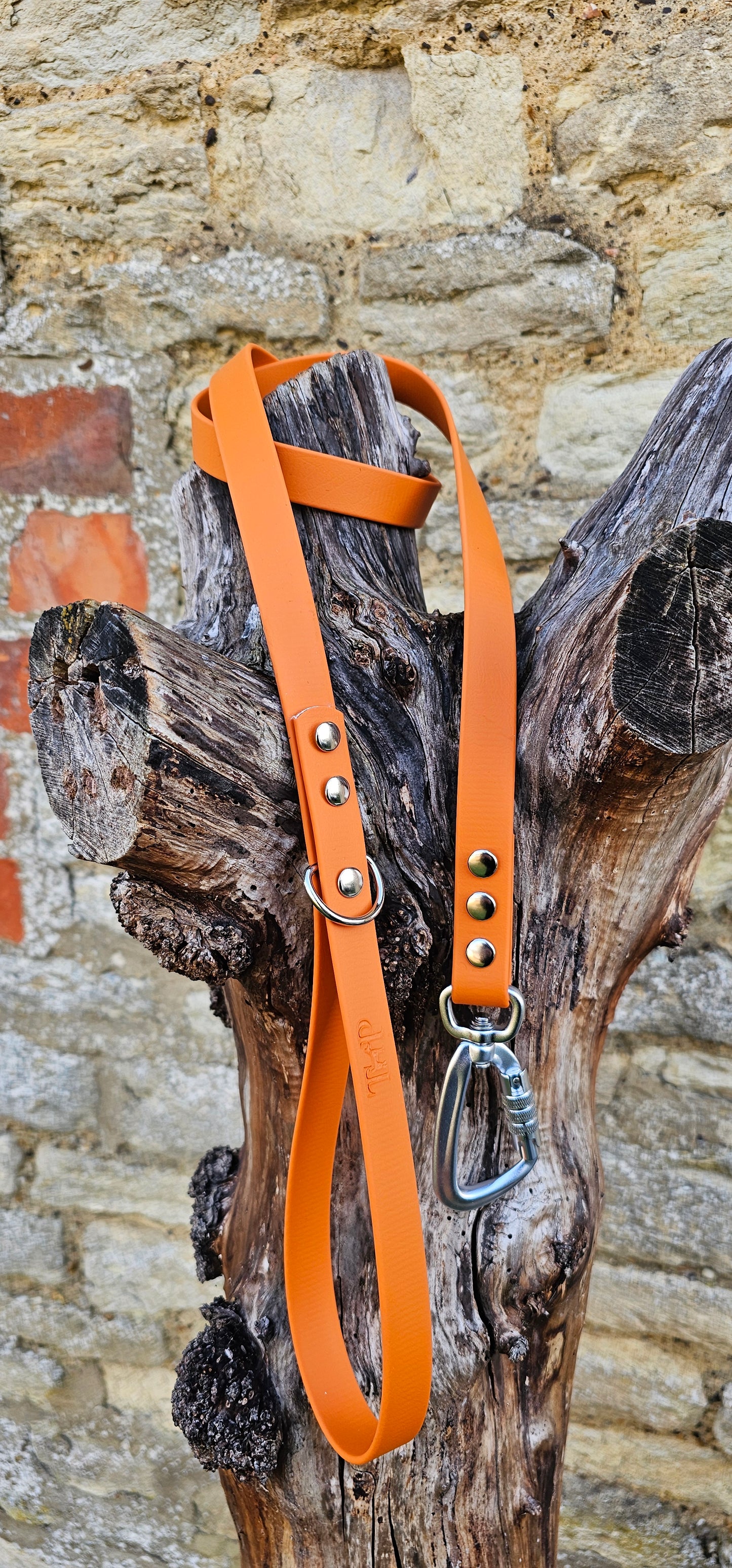 Burnt Orange - Everlast Waterproof BioThane© Dog Lead