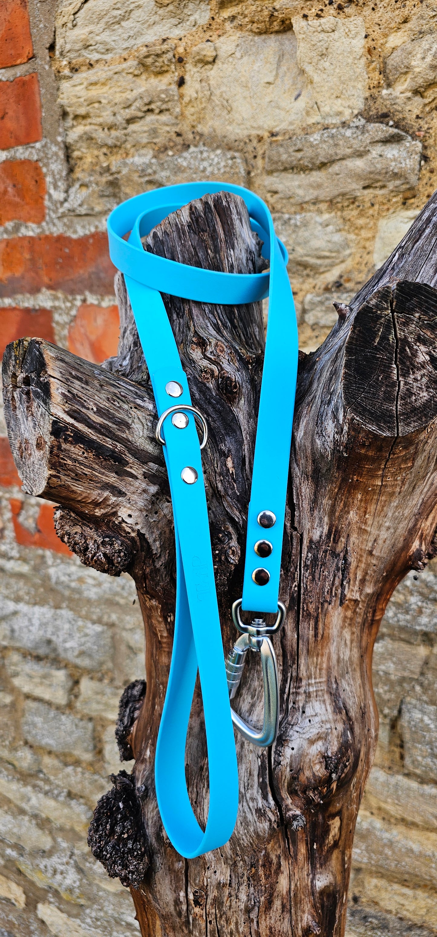 Neon Blue - Everlast Waterproof BioThane© Dog Lead