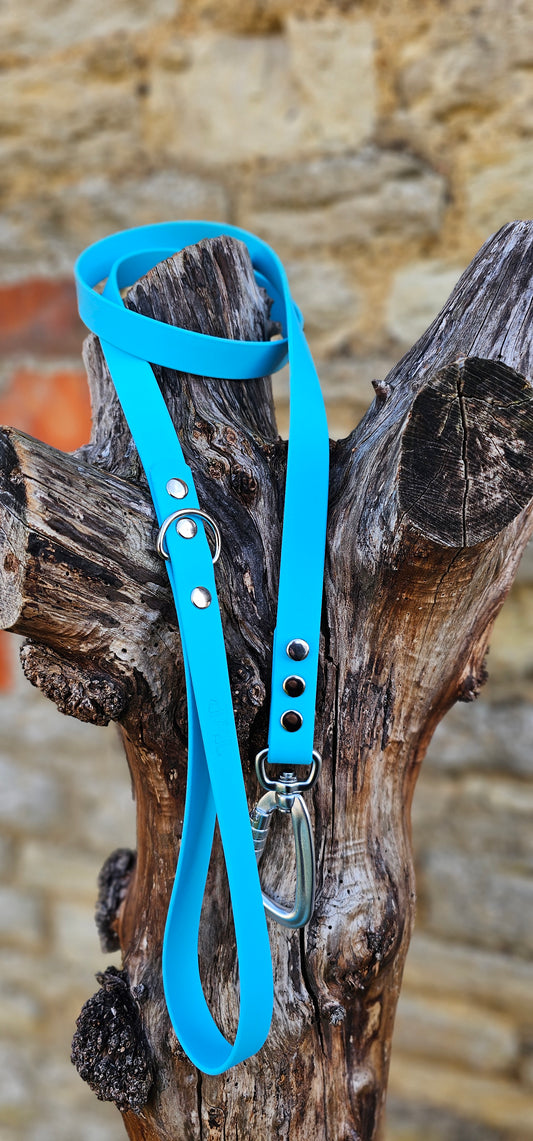 Neon Blue - Everlast Waterproof BioThane© Dog Lead