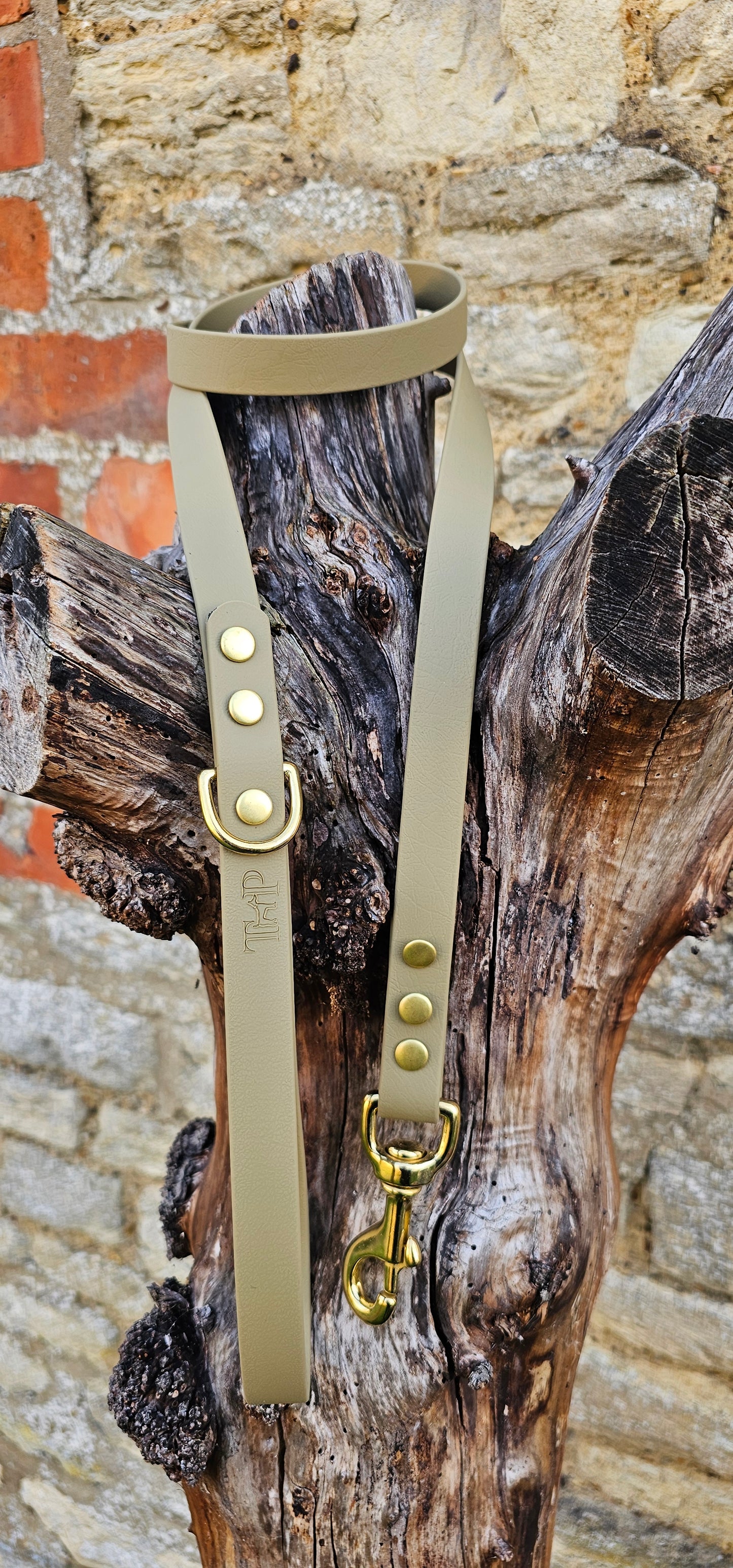 Clay - Everlast Waterproof BioThane© Dog Lead