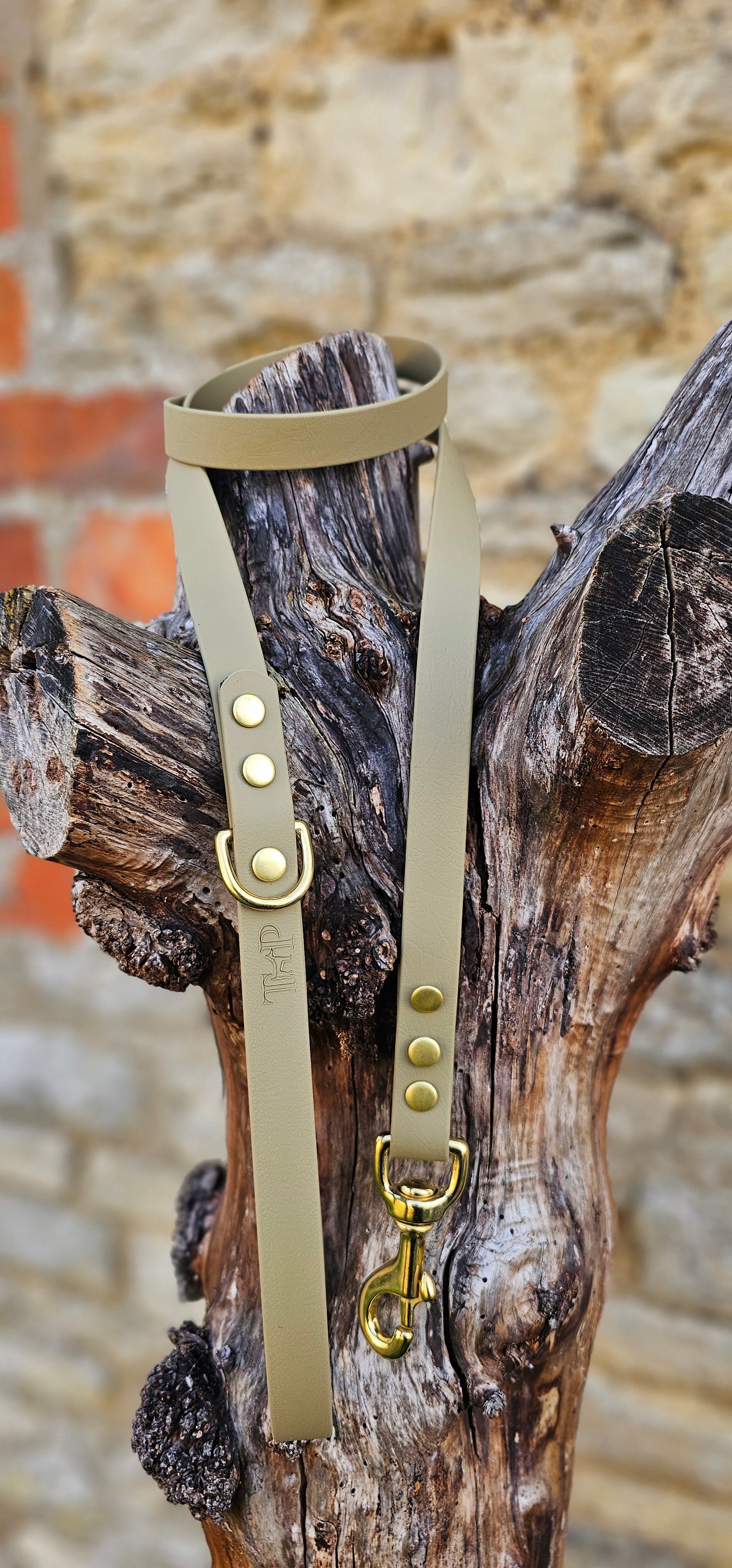 Clay - Everlast Waterproof BioThane© Dog Lead