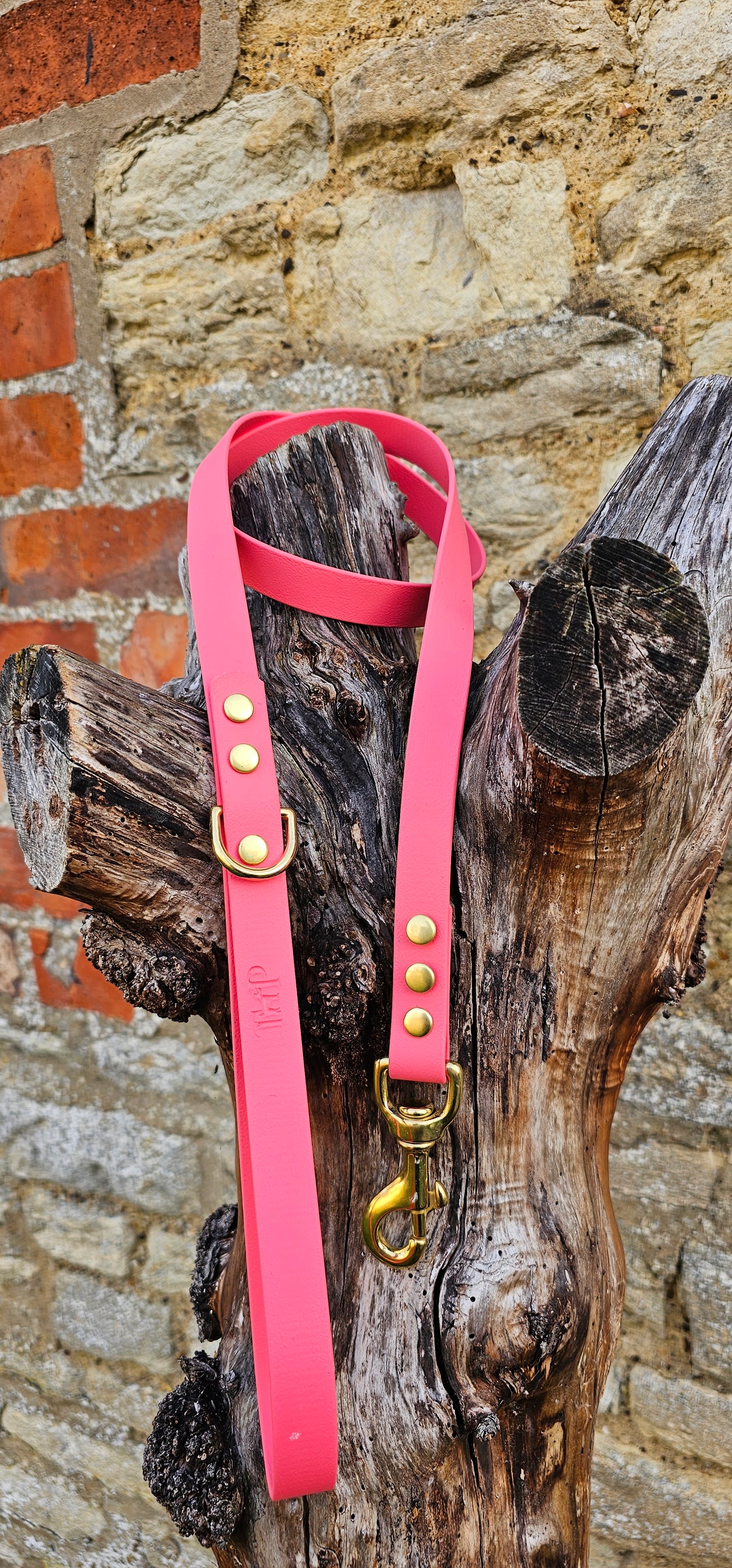 Coral - Everlast Waterproof BioThane© Dog Lead