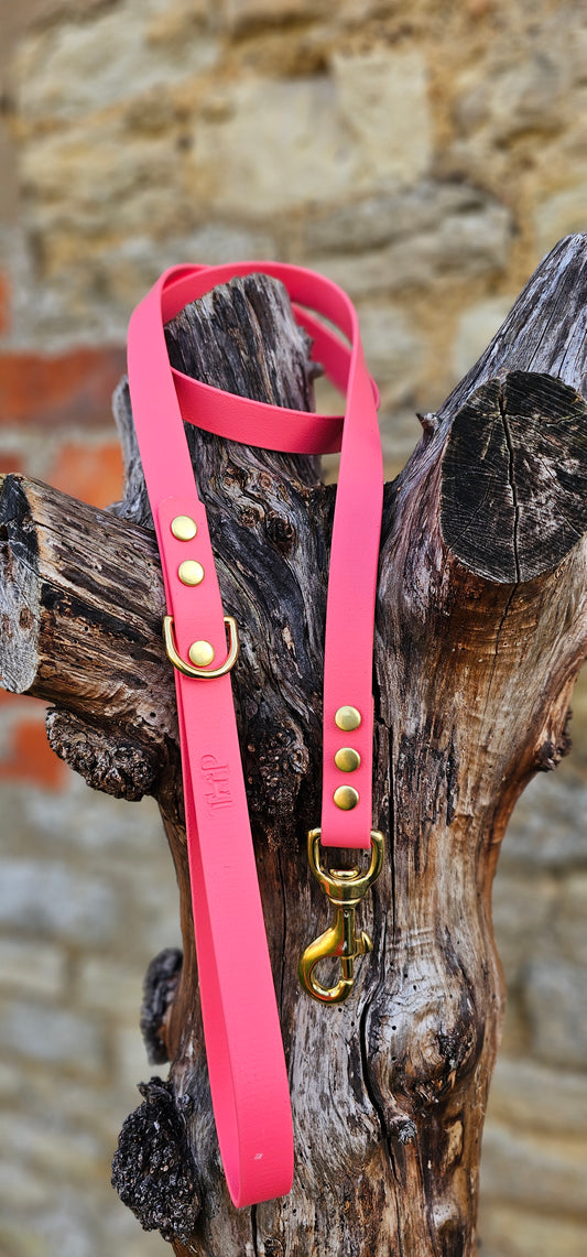 Coral - Everlast Waterproof BioThane© Dog Lead