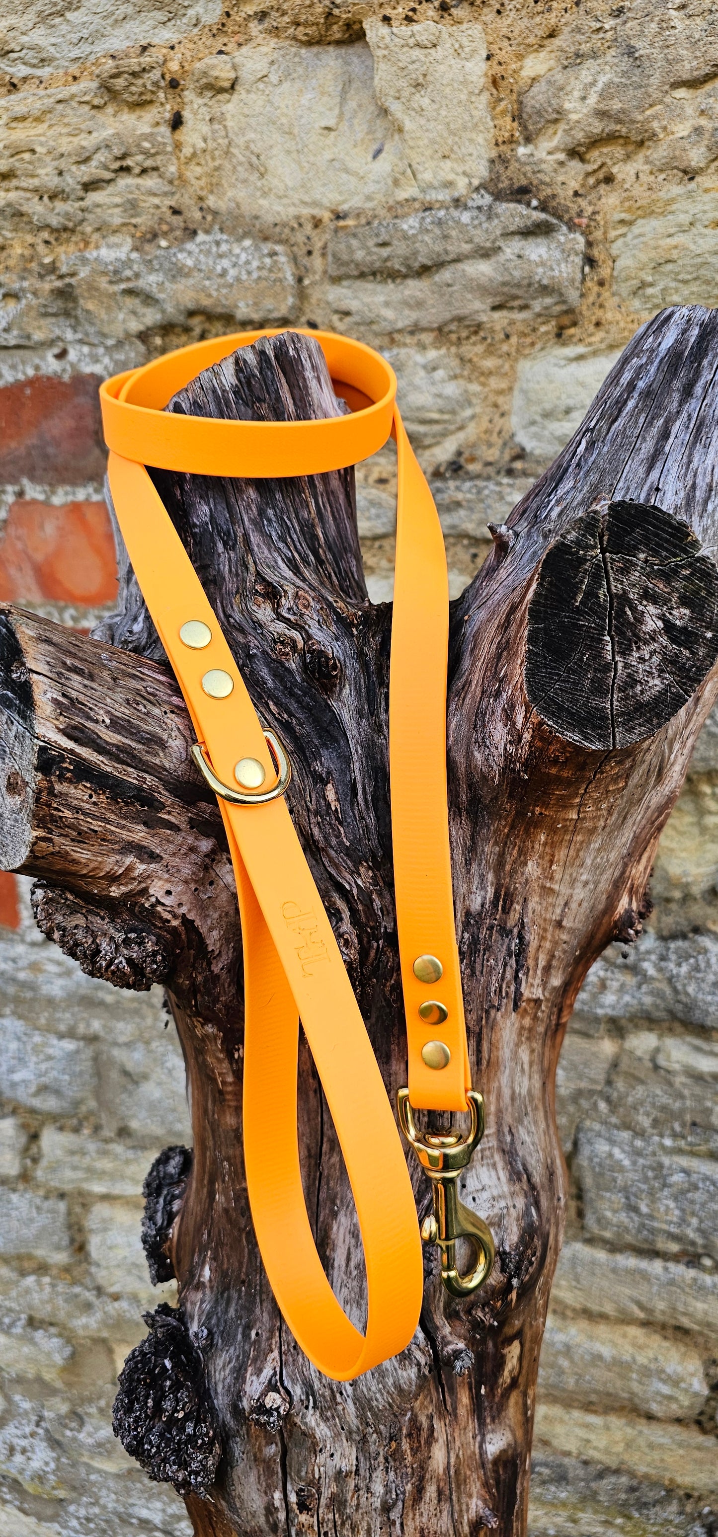 Orange - Everlast Waterproof BioThane© Dog Lead