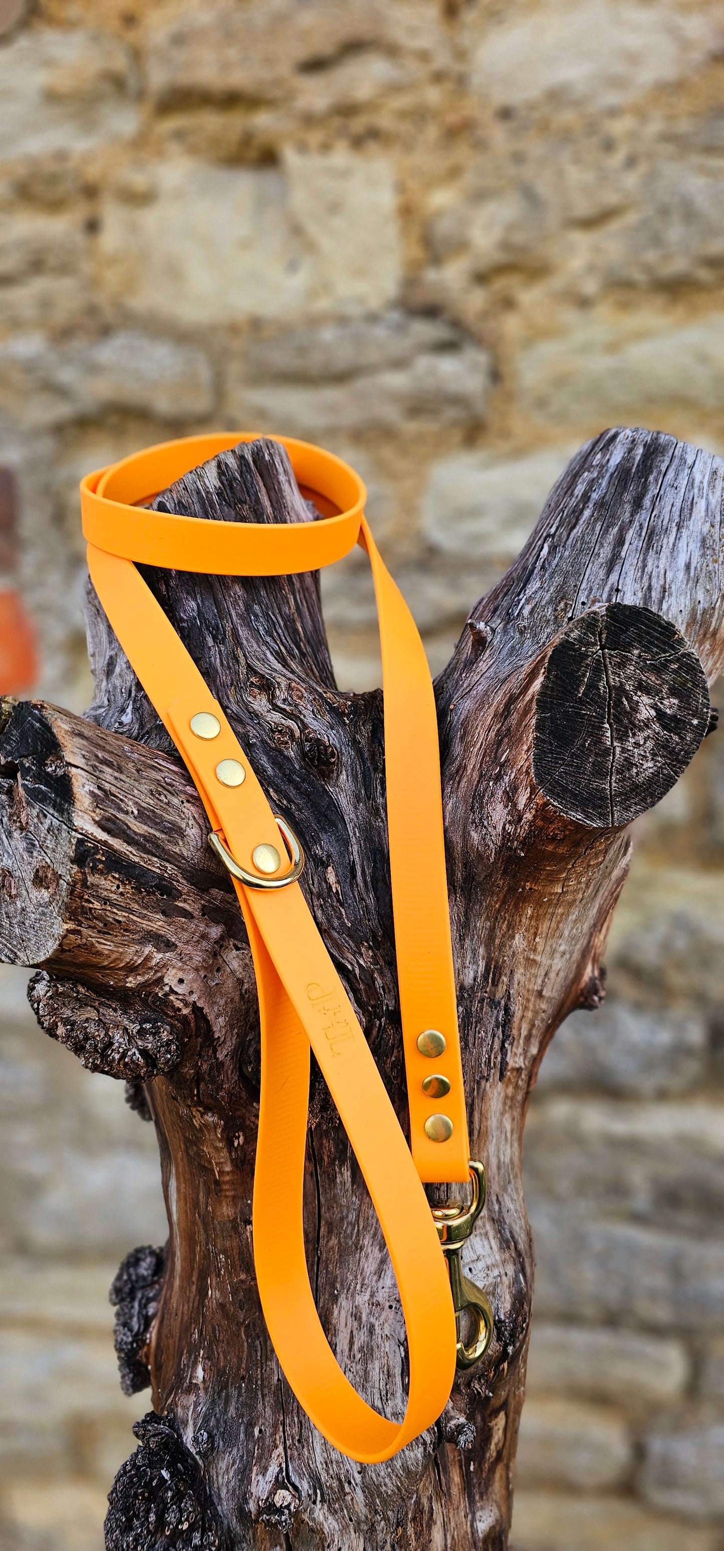 Orange - Everlast Waterproof BioThane© Dog Lead