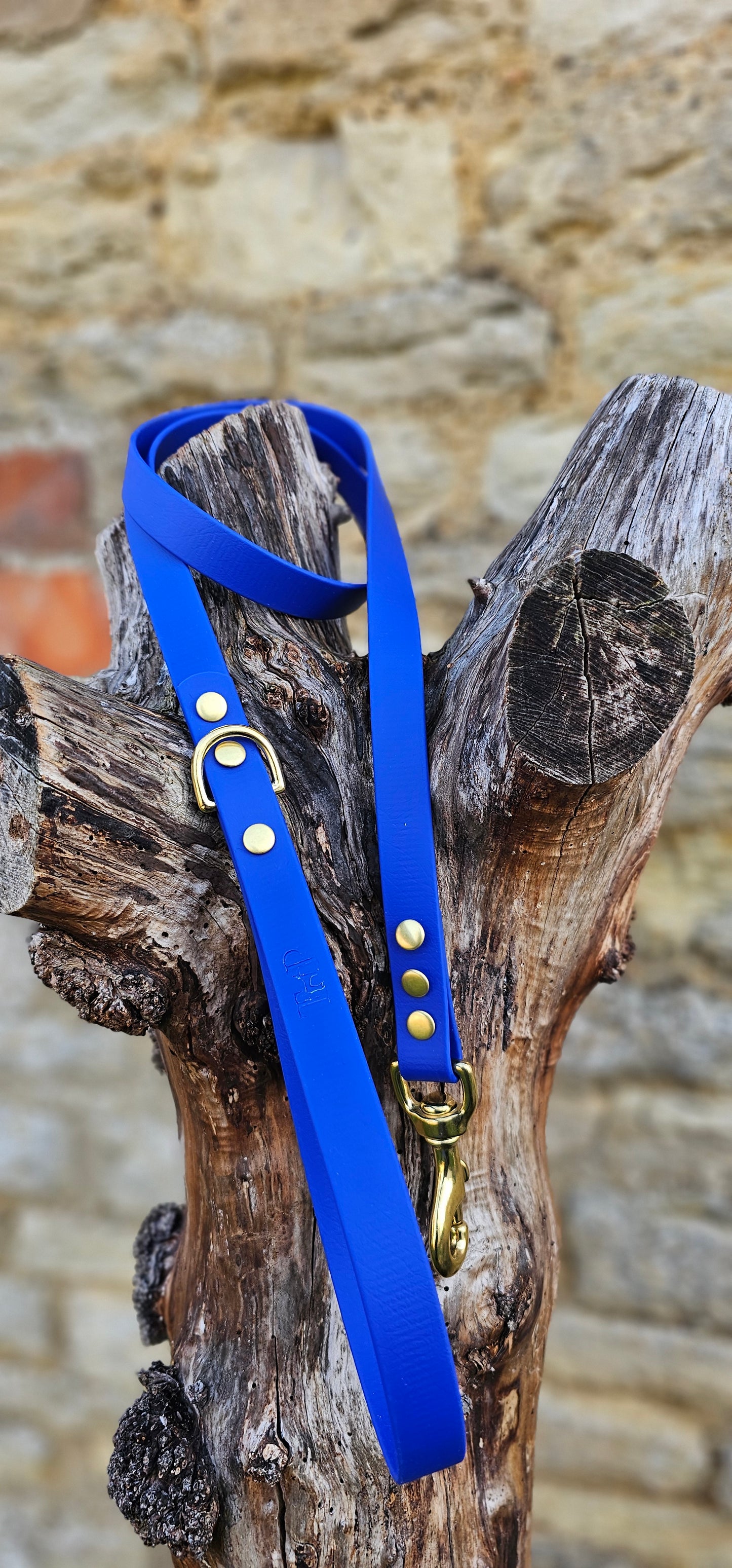 Royal Blue - Everlast Waterproof BioThane© Dog Lead