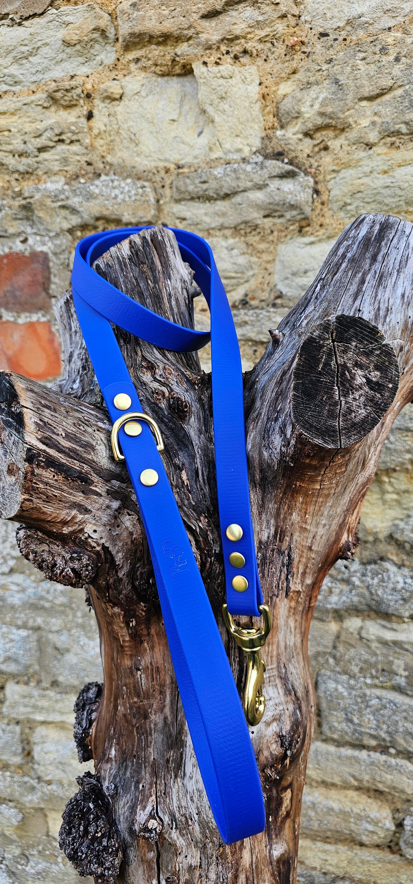 Royal Blue - Everlast Waterproof BioThane© Dog Lead